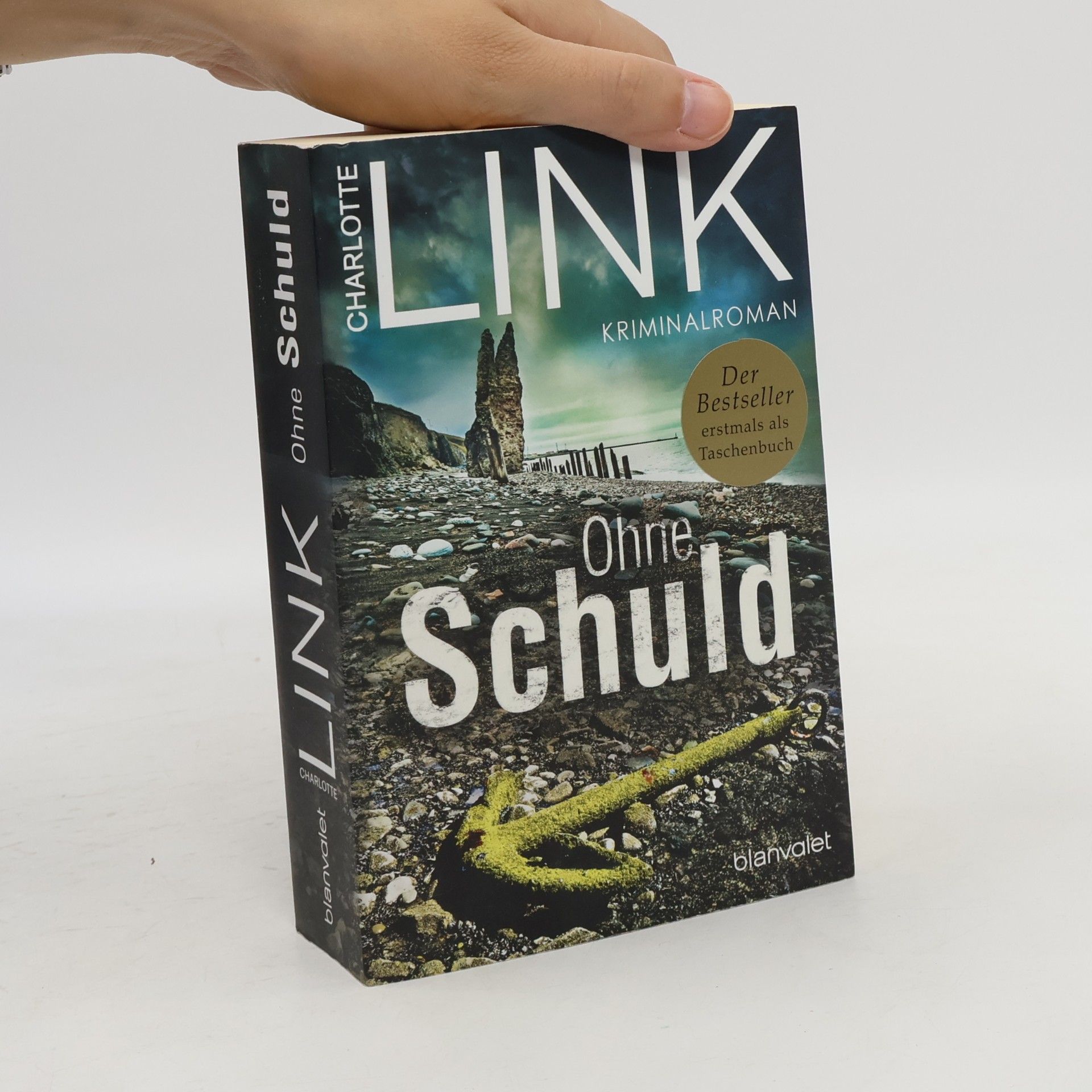 Charlotte Link Ohne Schuld