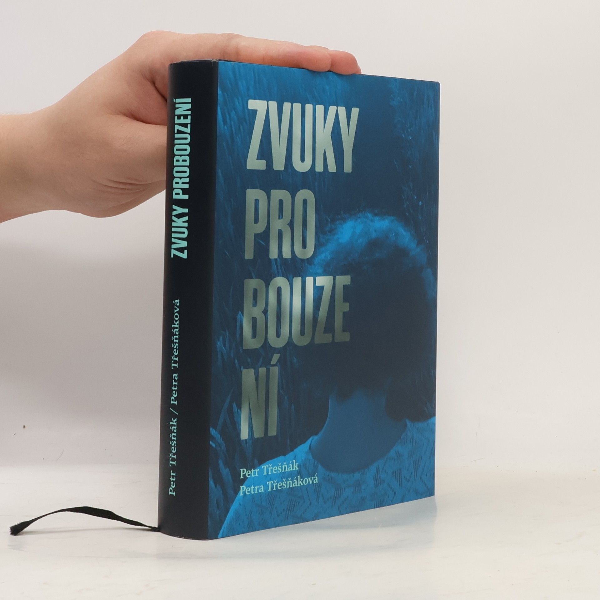 Petr Třešňák Zvuky probouzení