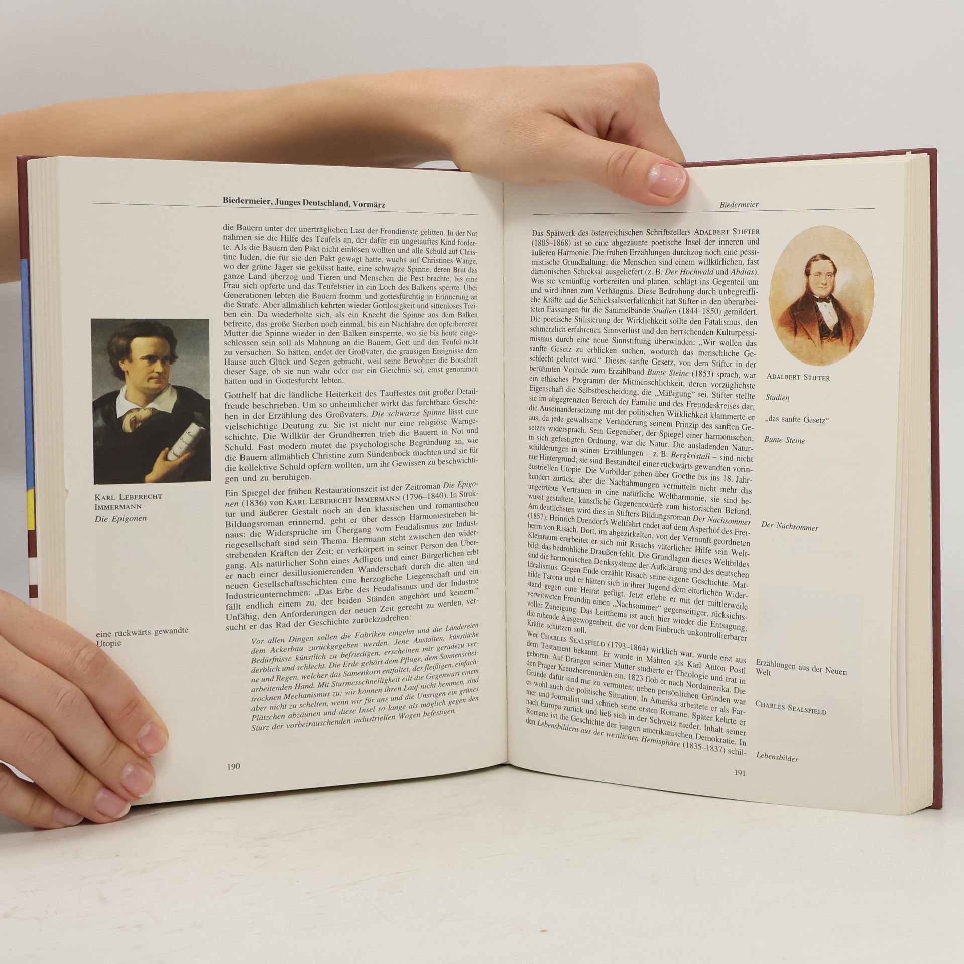 Hans Gerd Rötzer Geschichte der deutschen Literatur