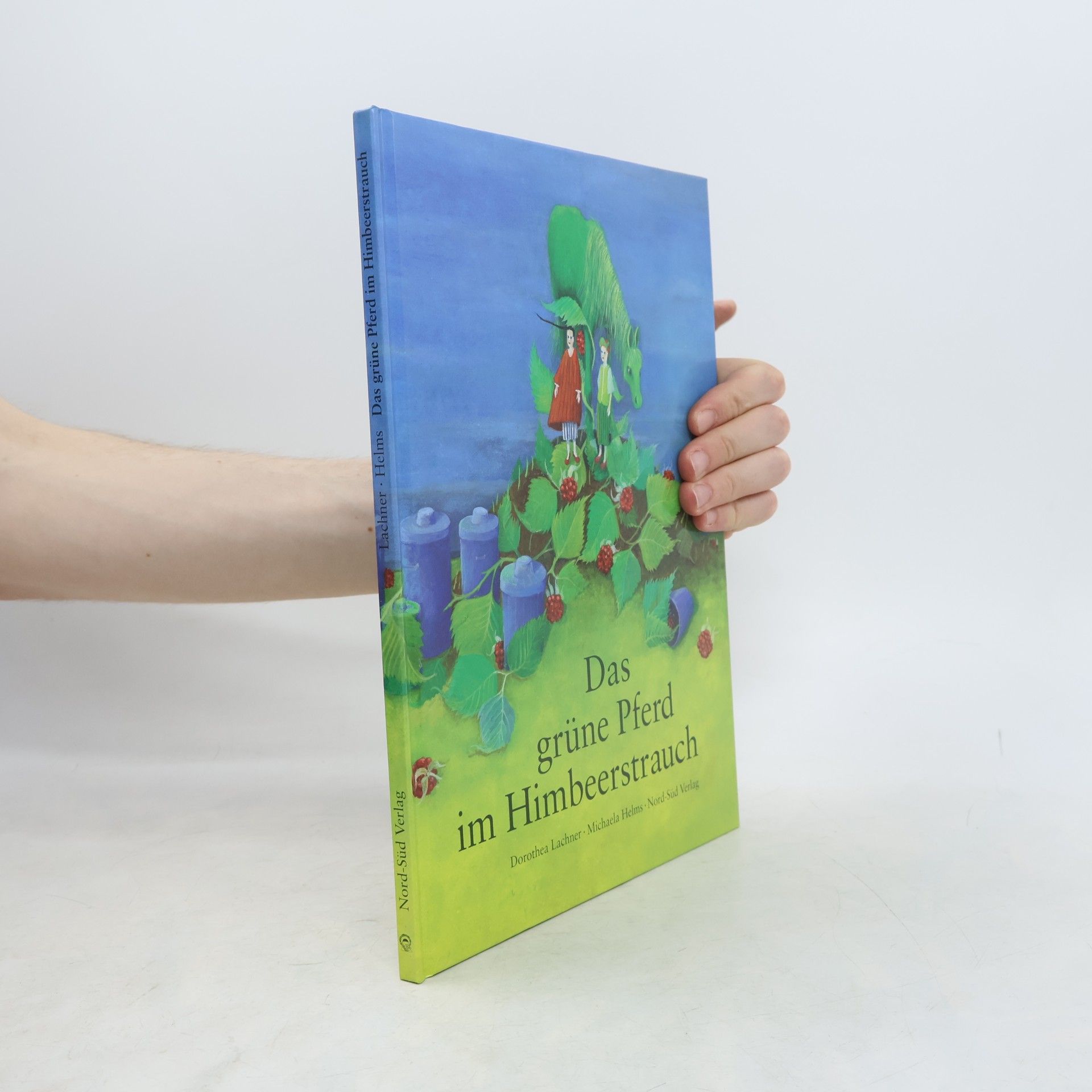 Dorothea Lachner Das grüne Pferd im Himbeerstrauch