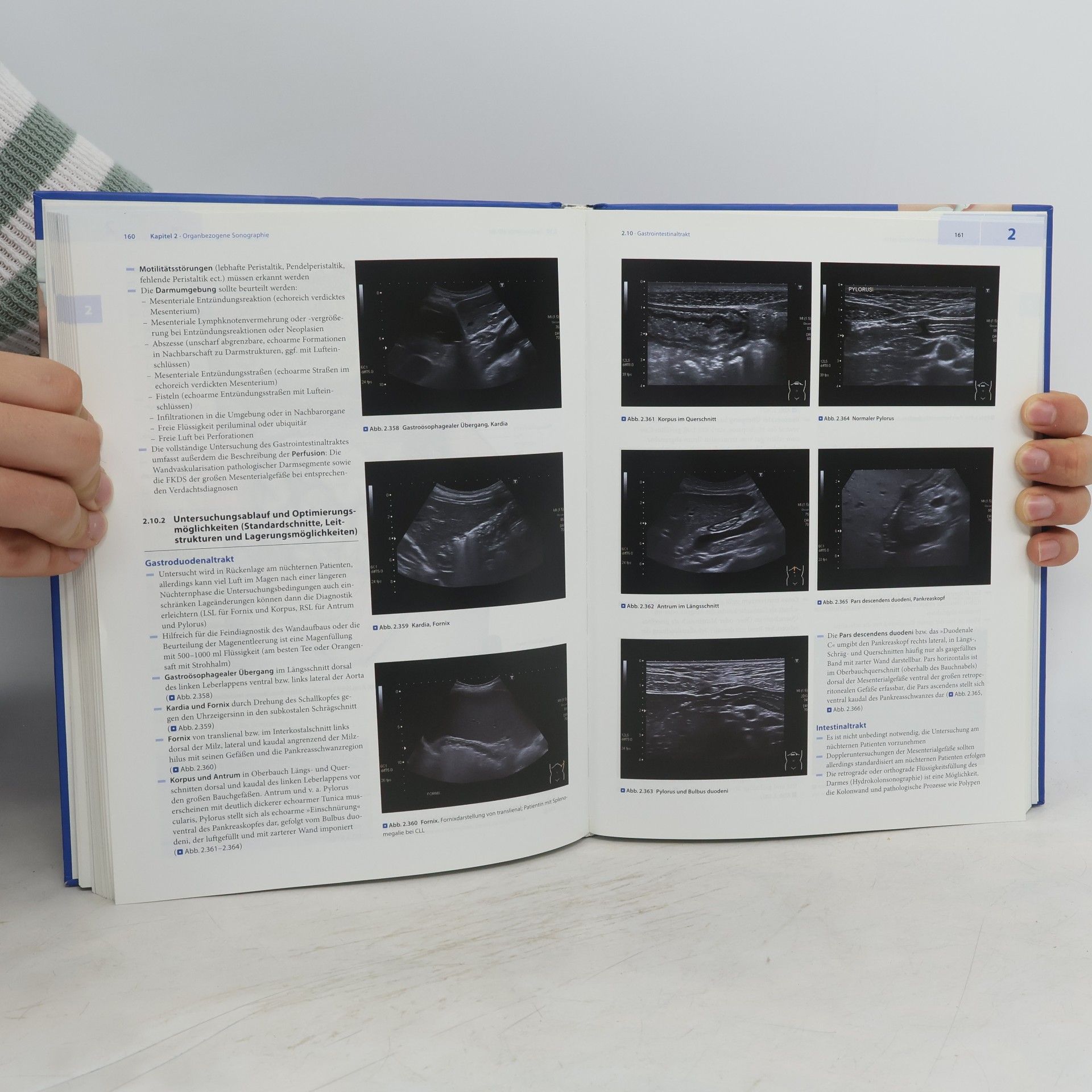 Guido Michels Sonographie organ- und leitsymptomorientiert