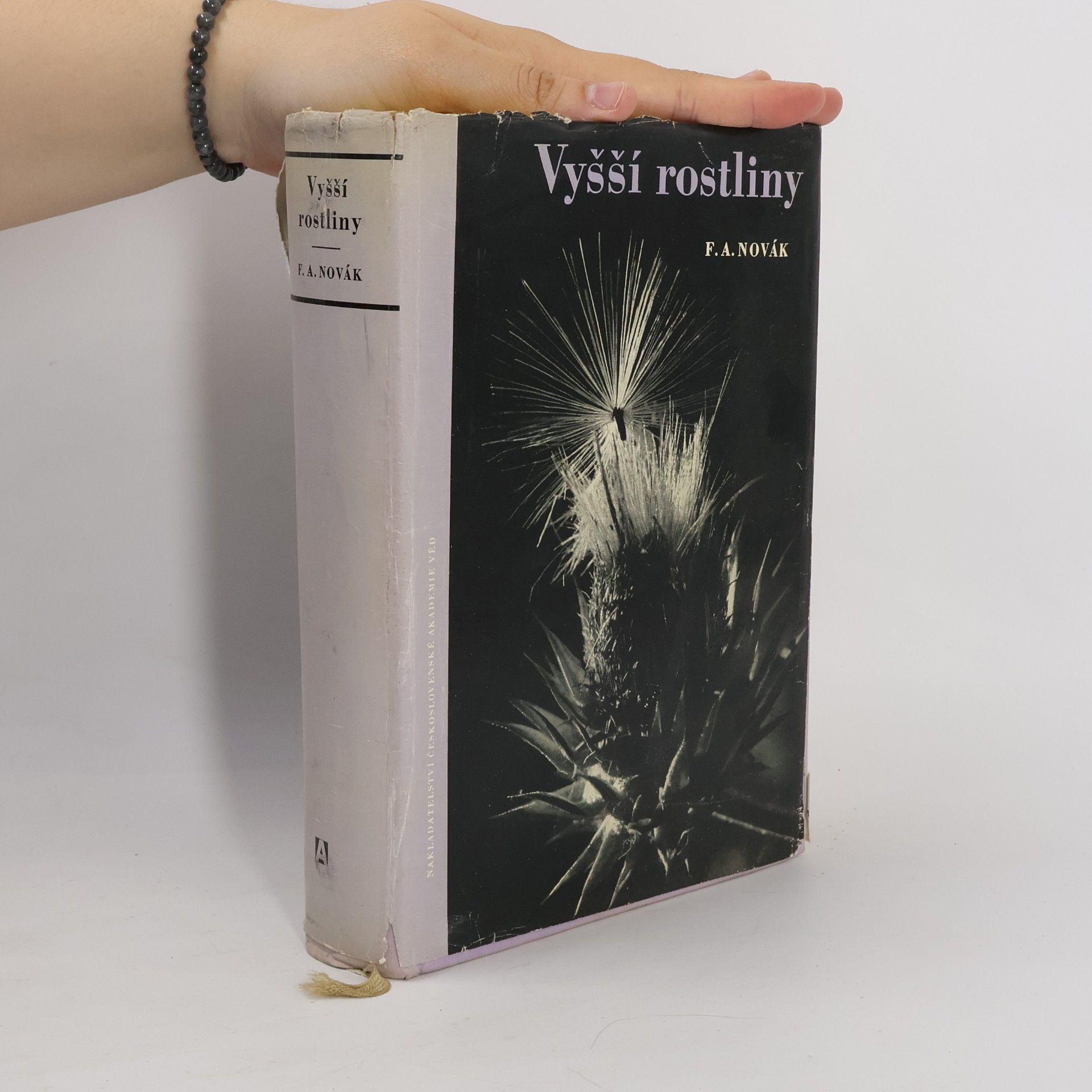 Vyšší rostliny : tracheophyta