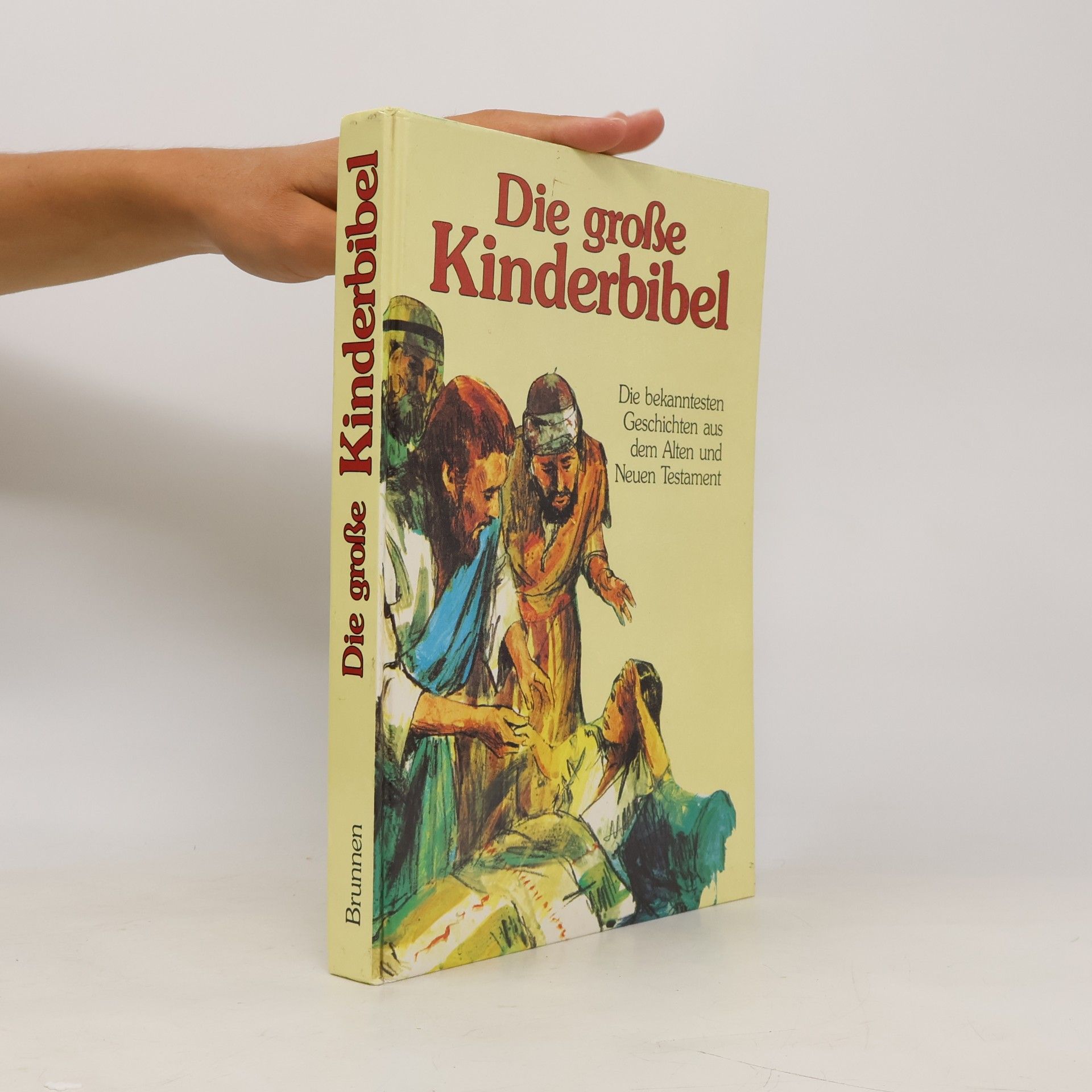 Autores varios Die große Kinderbibel