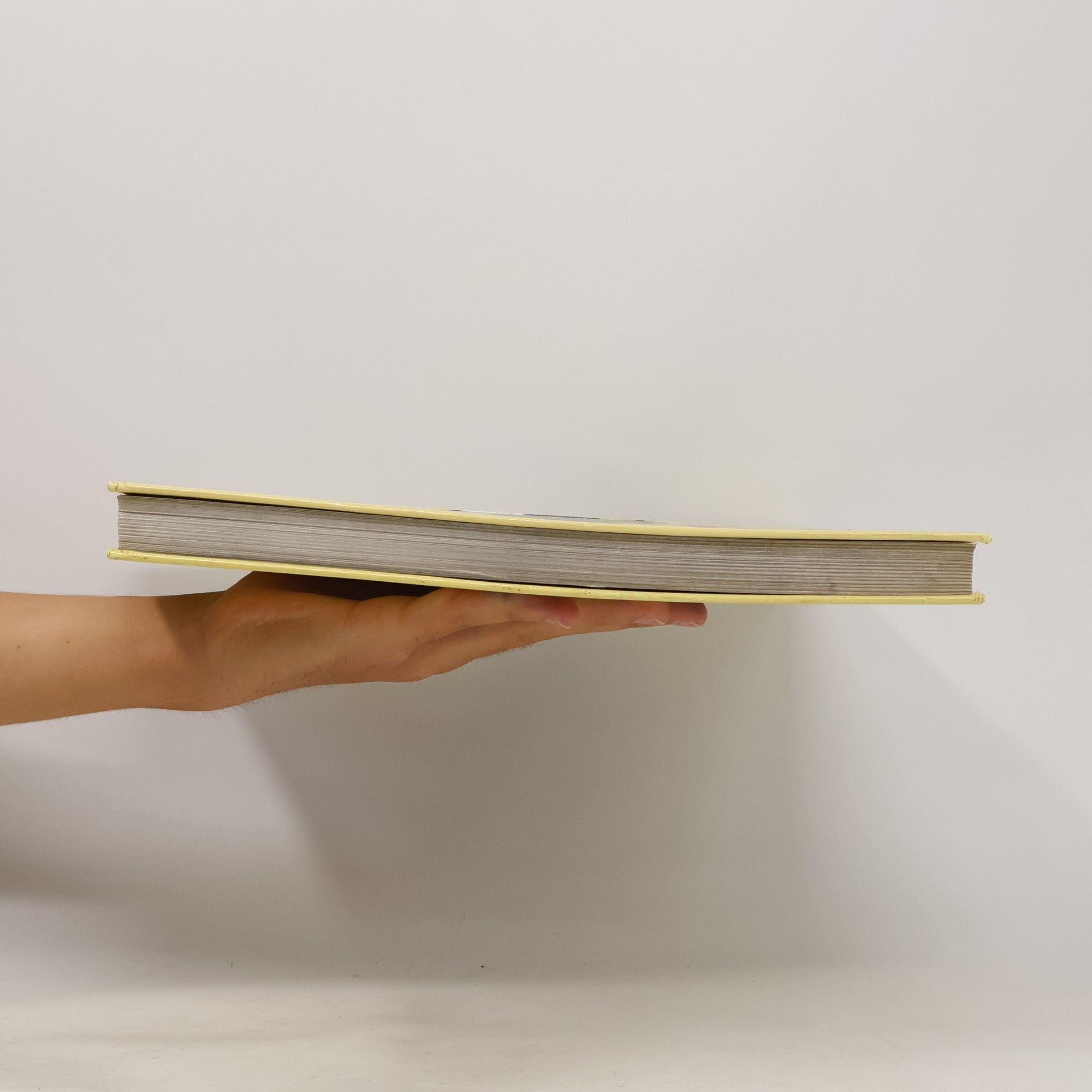 Autores varios Die große Kinderbibel