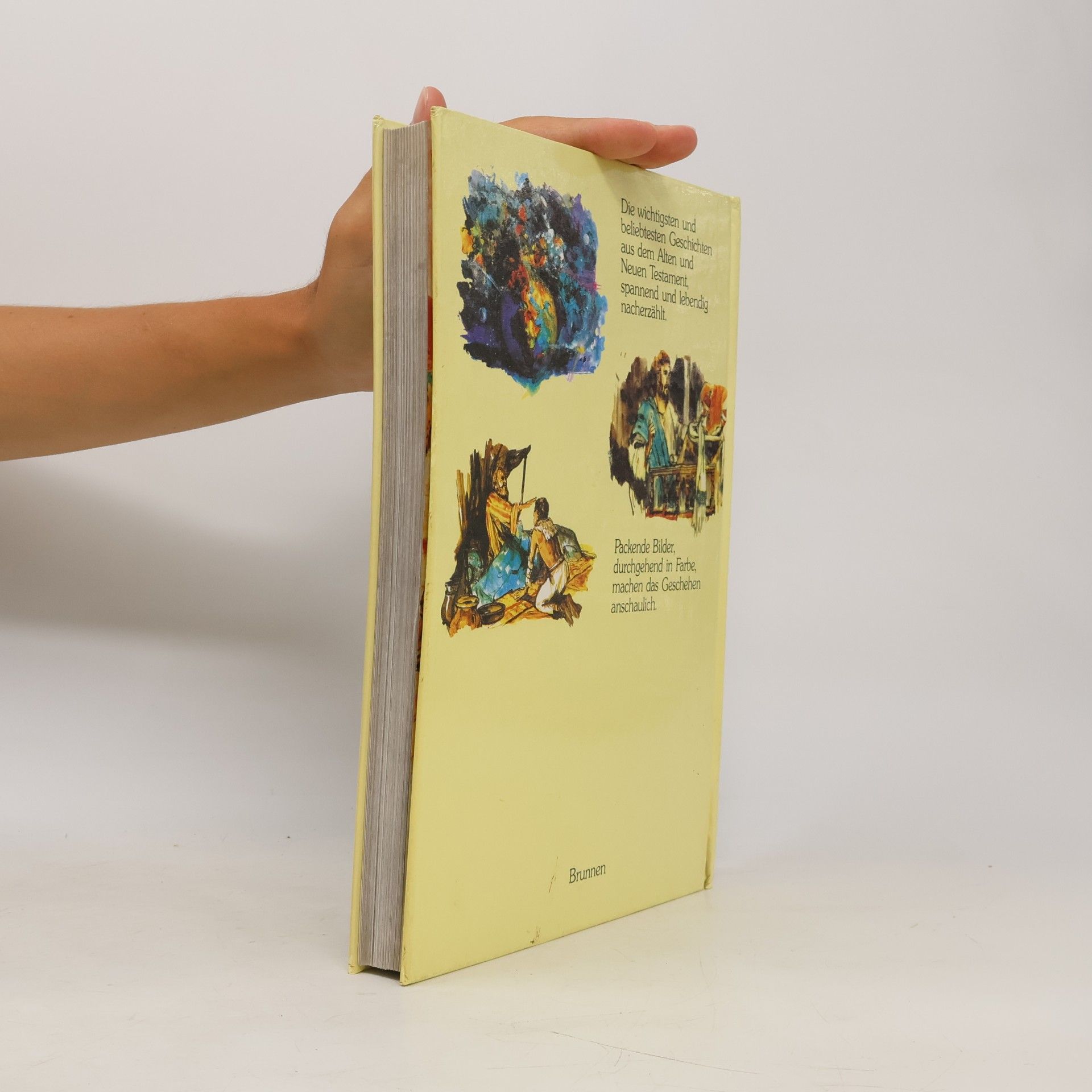 Autores varios Die große Kinderbibel