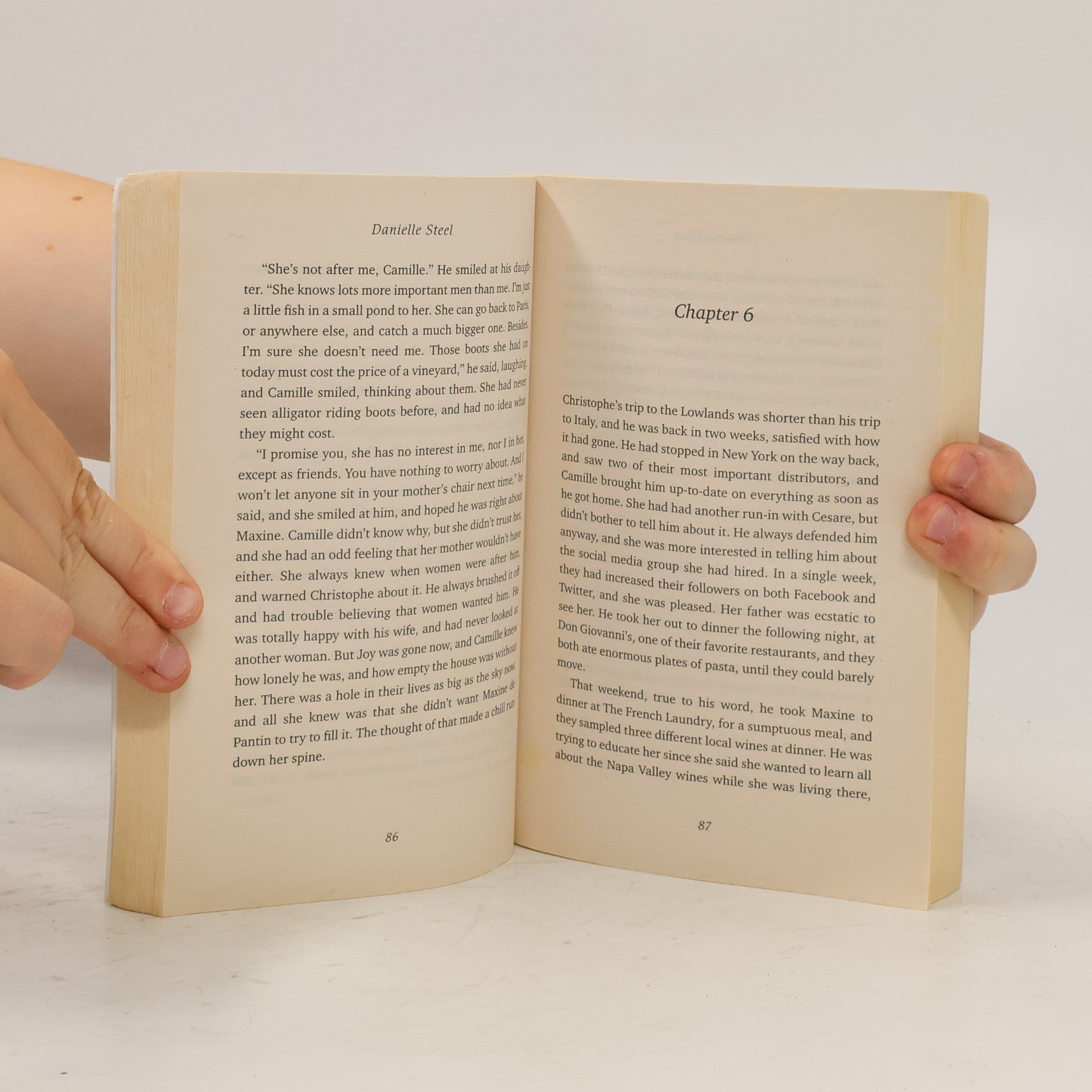 Danielle Steel Fairytale