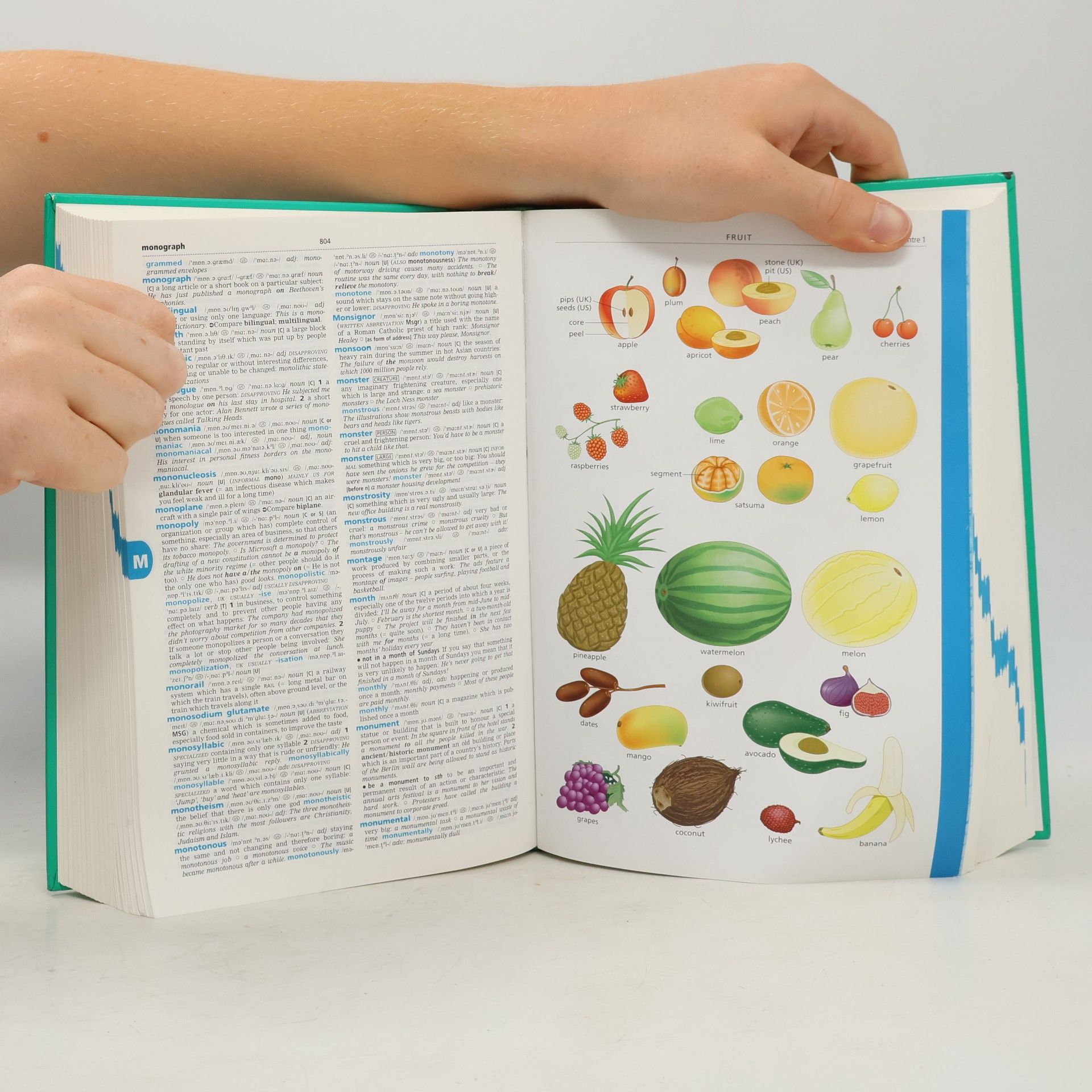Cambridge Advanced Learner's Dictionary Klett Version with CD-ROM