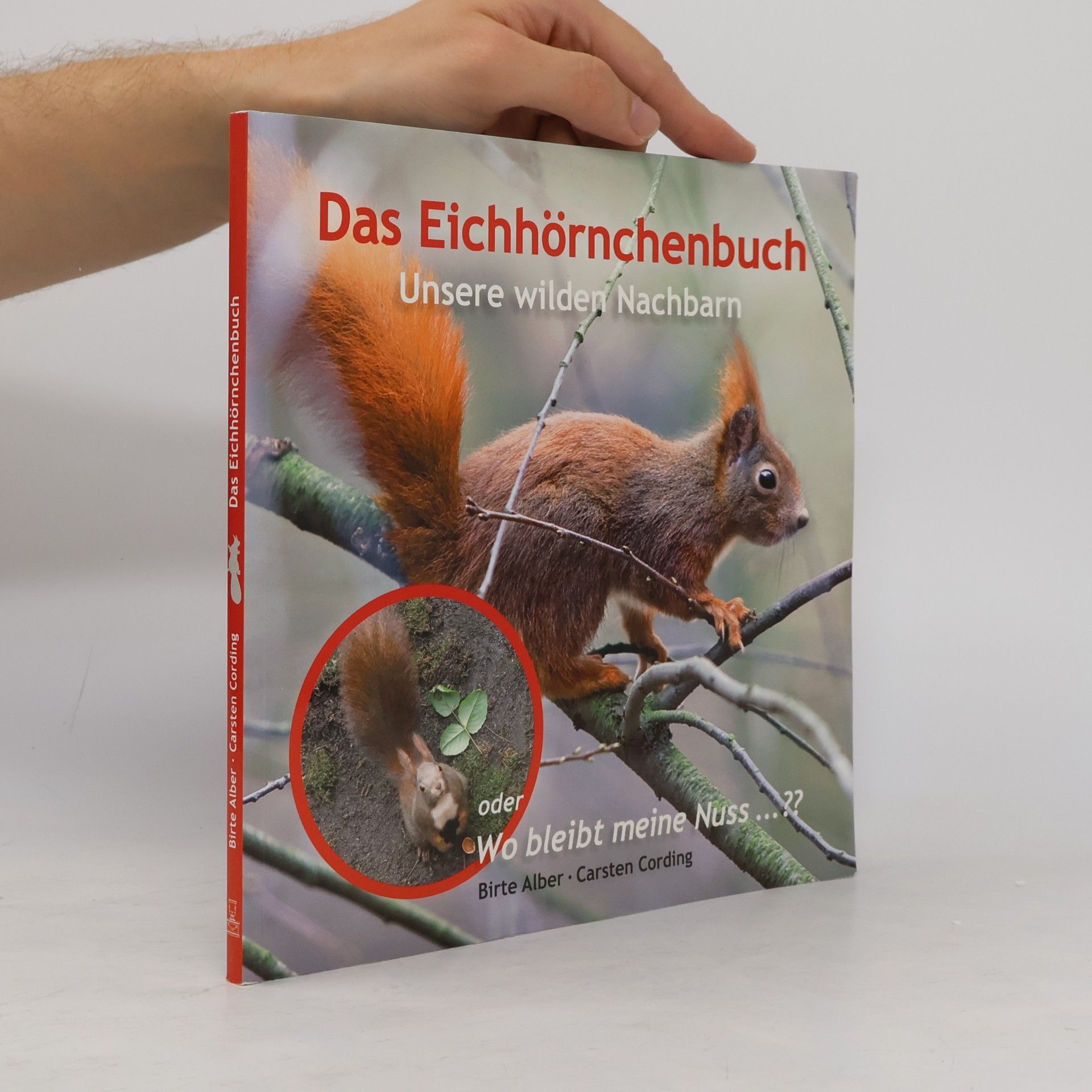 Carsten Cording Das Eichhörnchenbuch