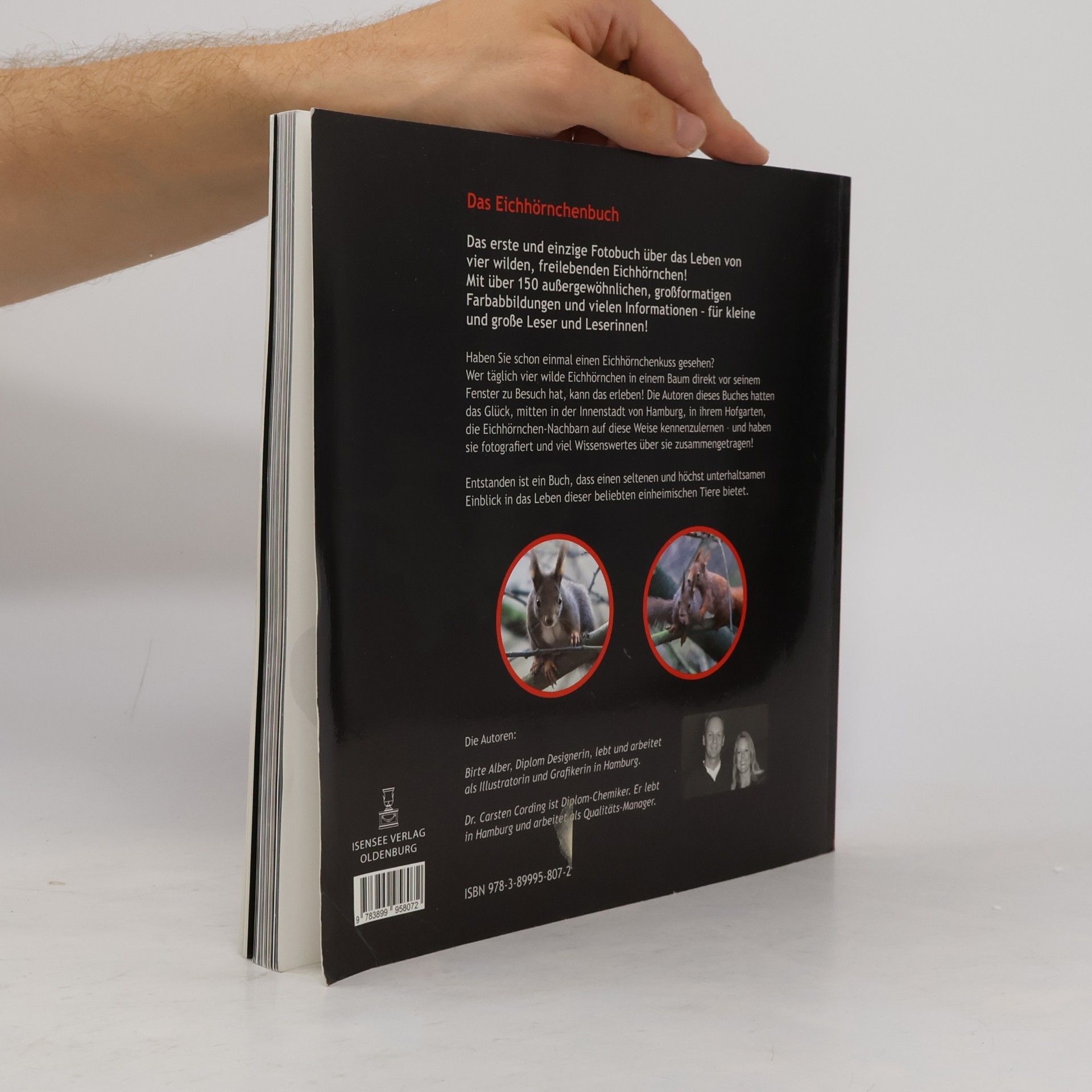Birte Alber Das Eichhörnchenbuch