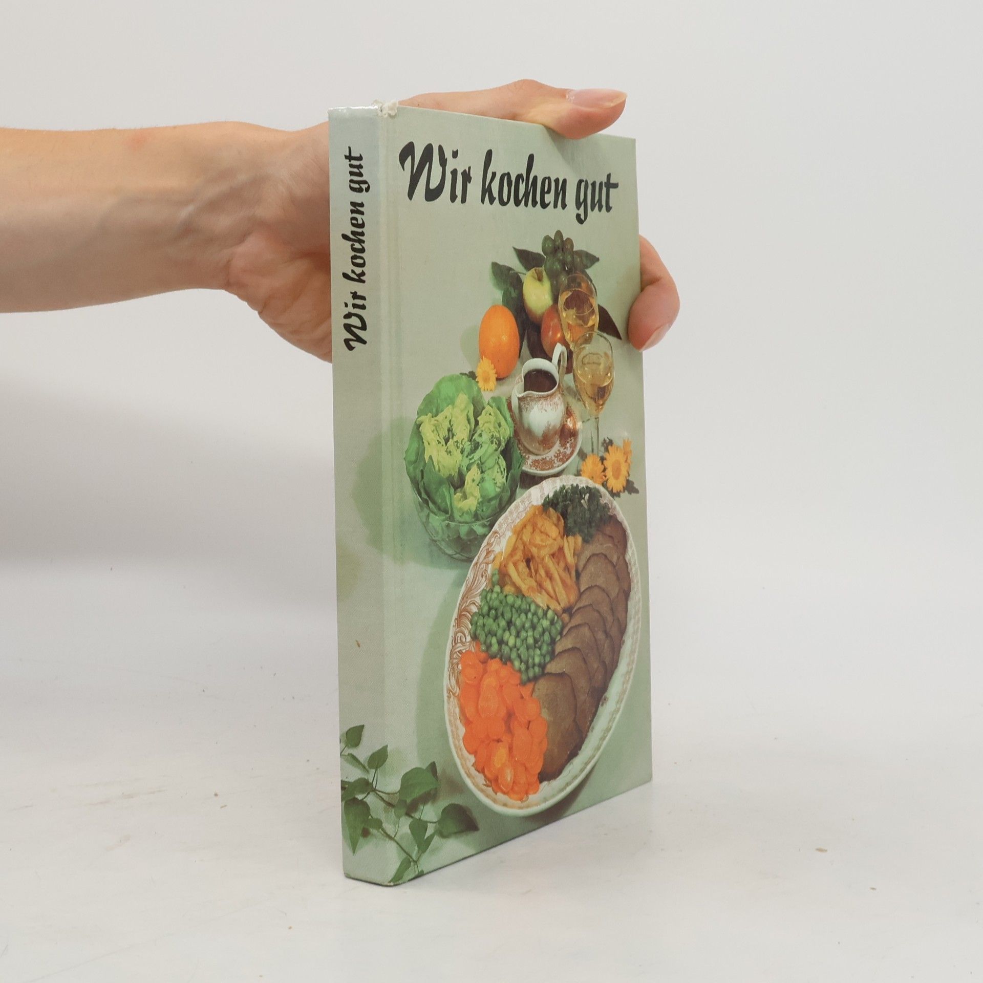 Kolektiv autorů Wir kochen gut