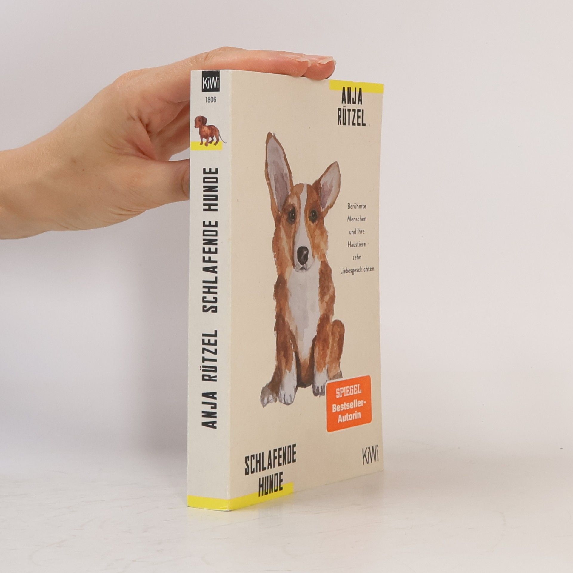 Anja Rützel Schlafende hunde