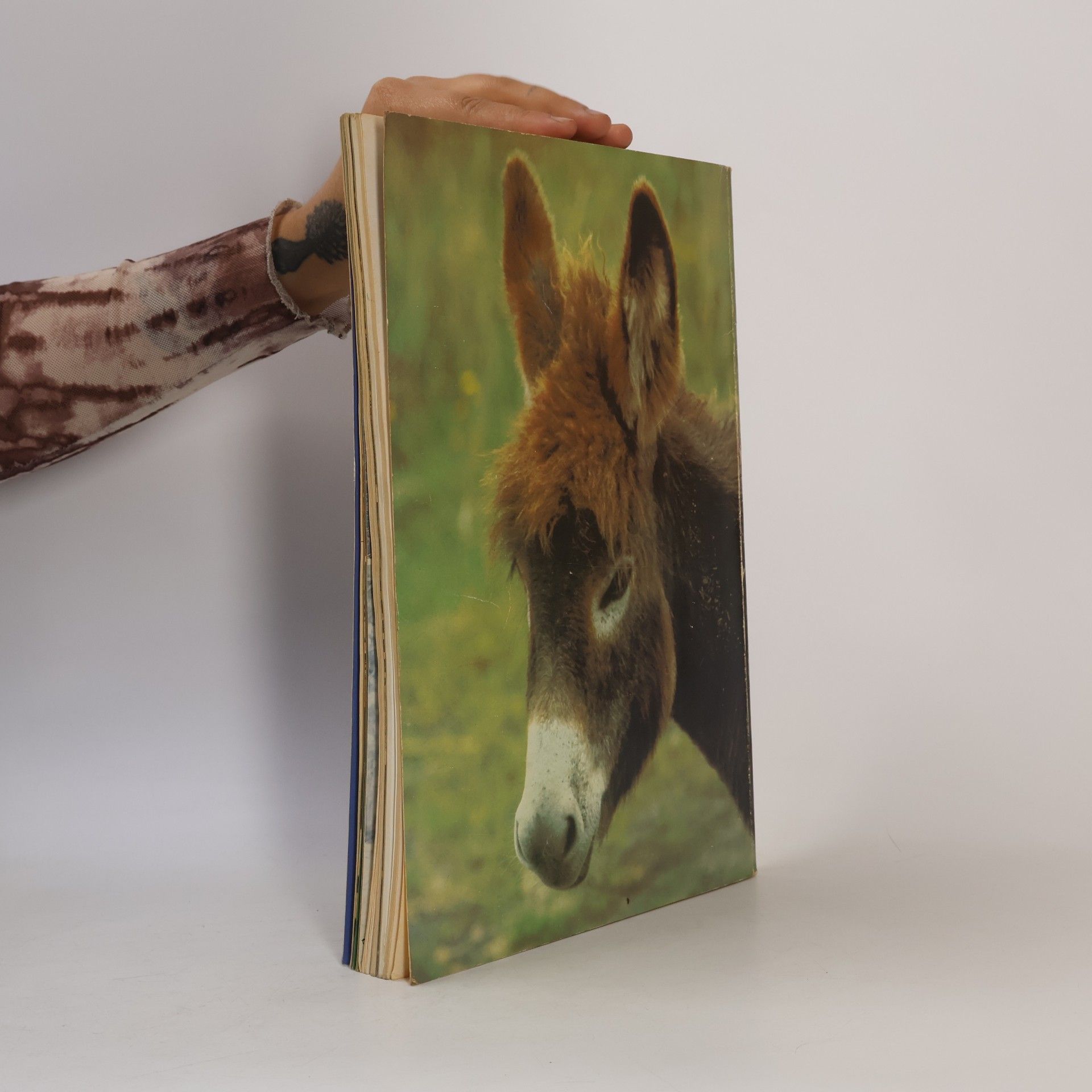 kolektiv Tierschutz Kalender 1980