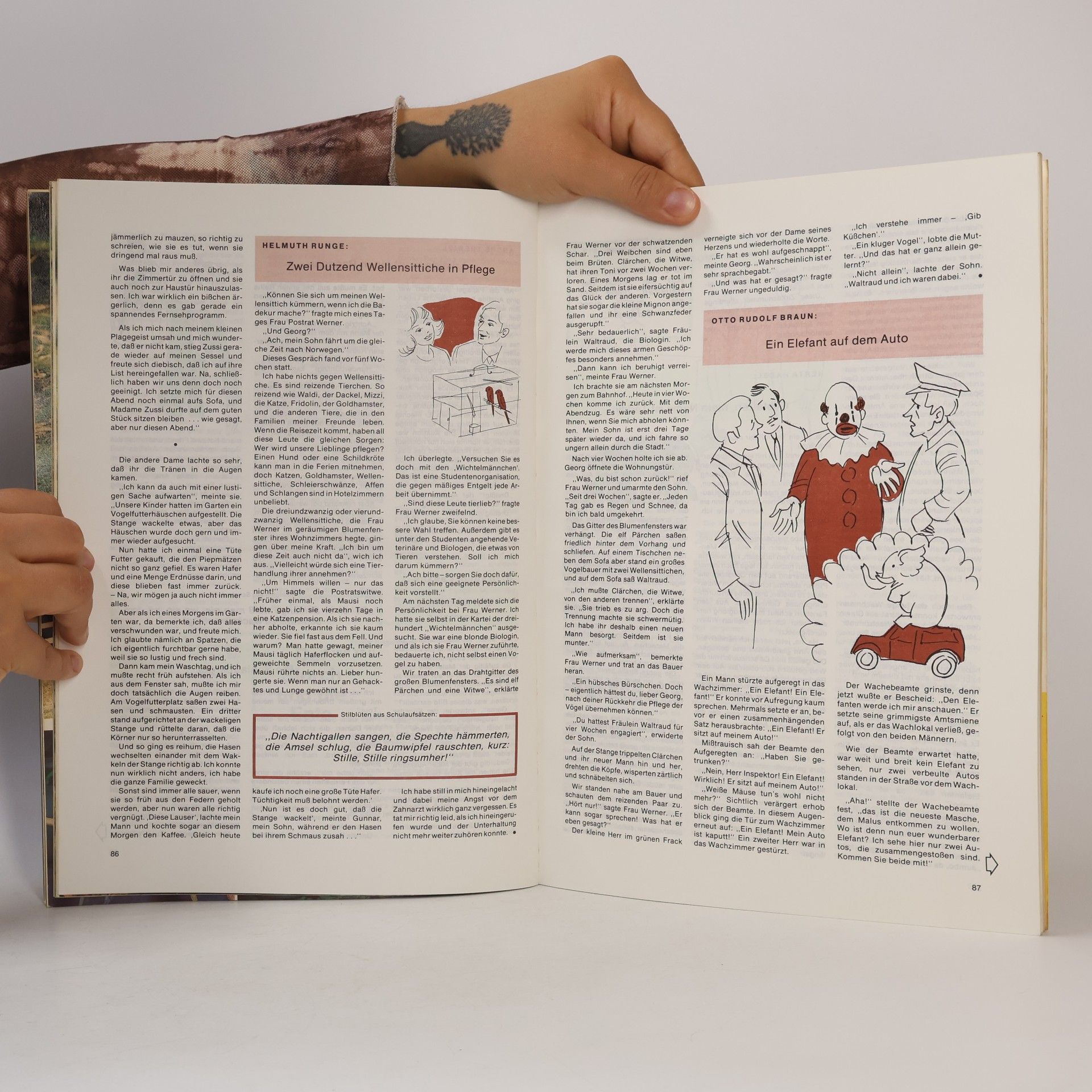 kolektiv Tierschutz Kalender 1980