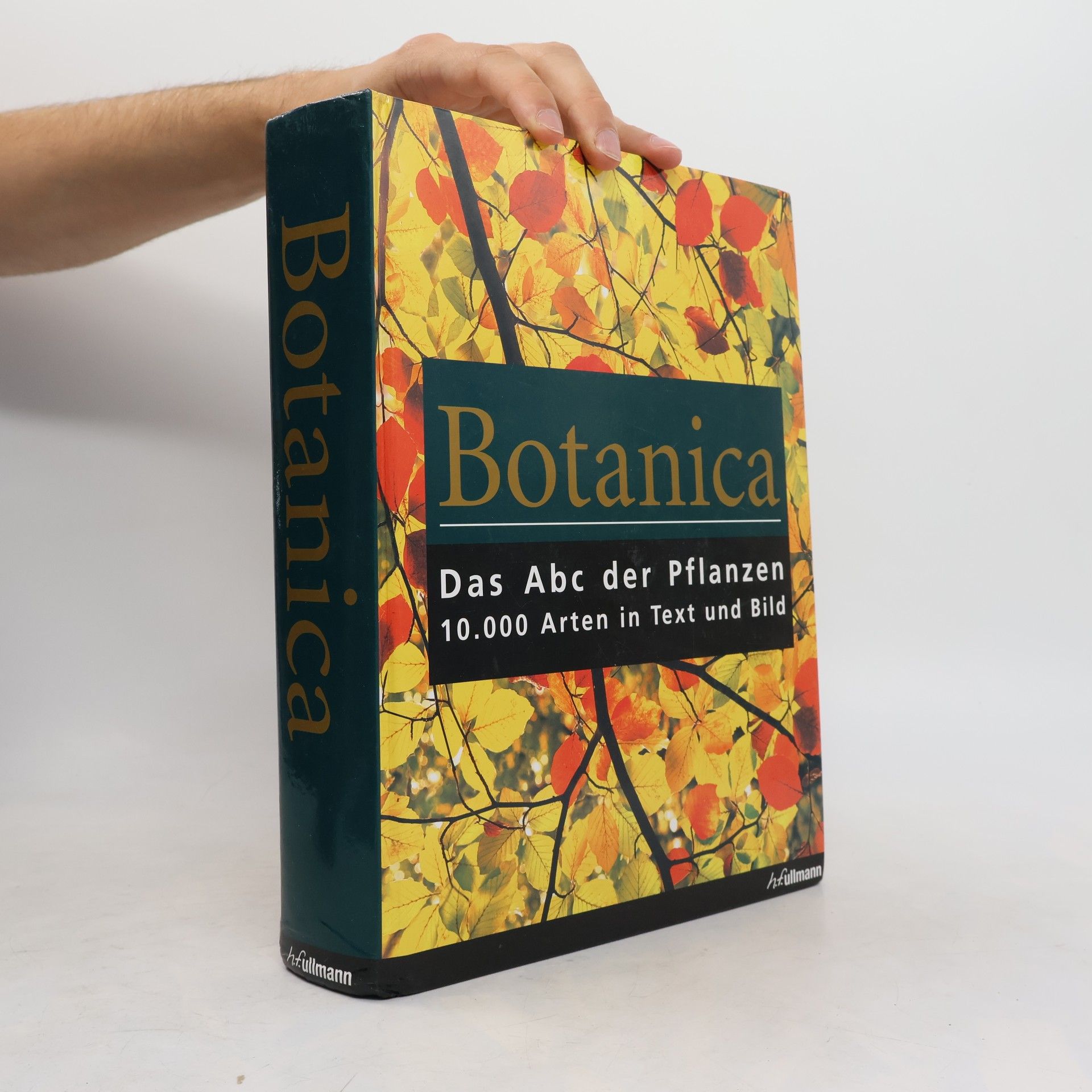 Geoff Burnie Botanica