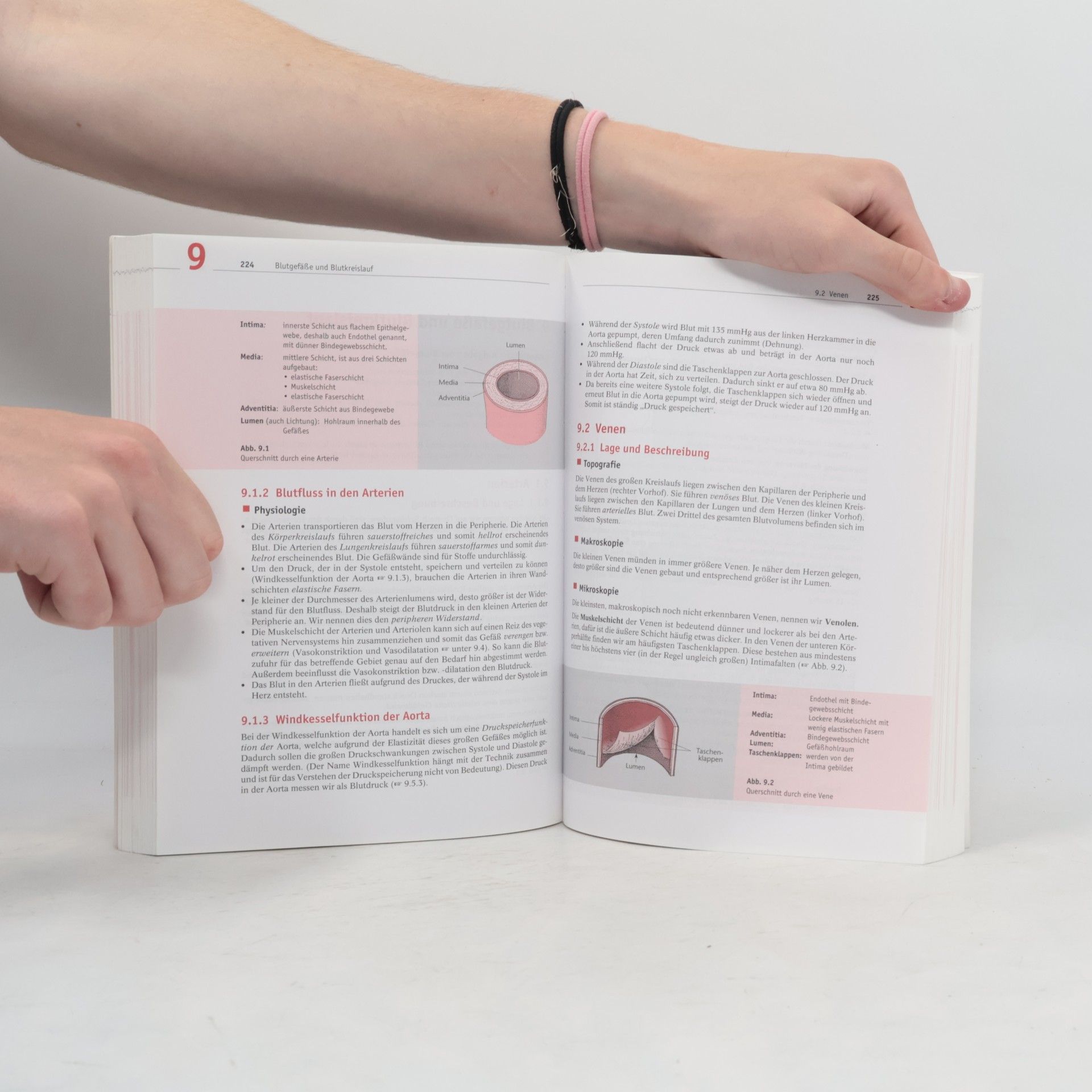 Erica Brühlmann-Jecklin Arbeitsbuch Anatomie und Physiologie für Pflege- und andere Gesundheitsfachberufe