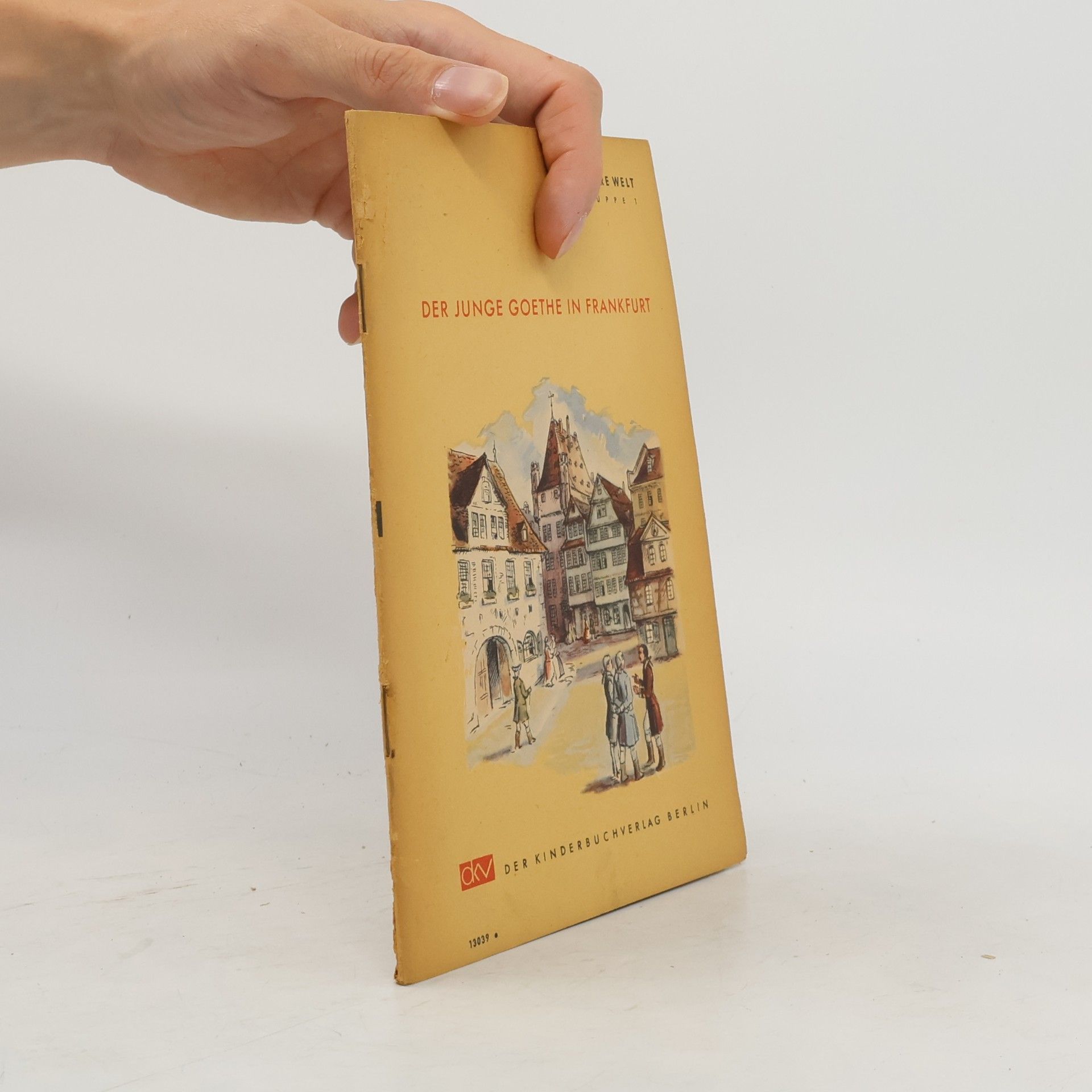 Autorenkollektiv Der junge Goethe in Frankfurt