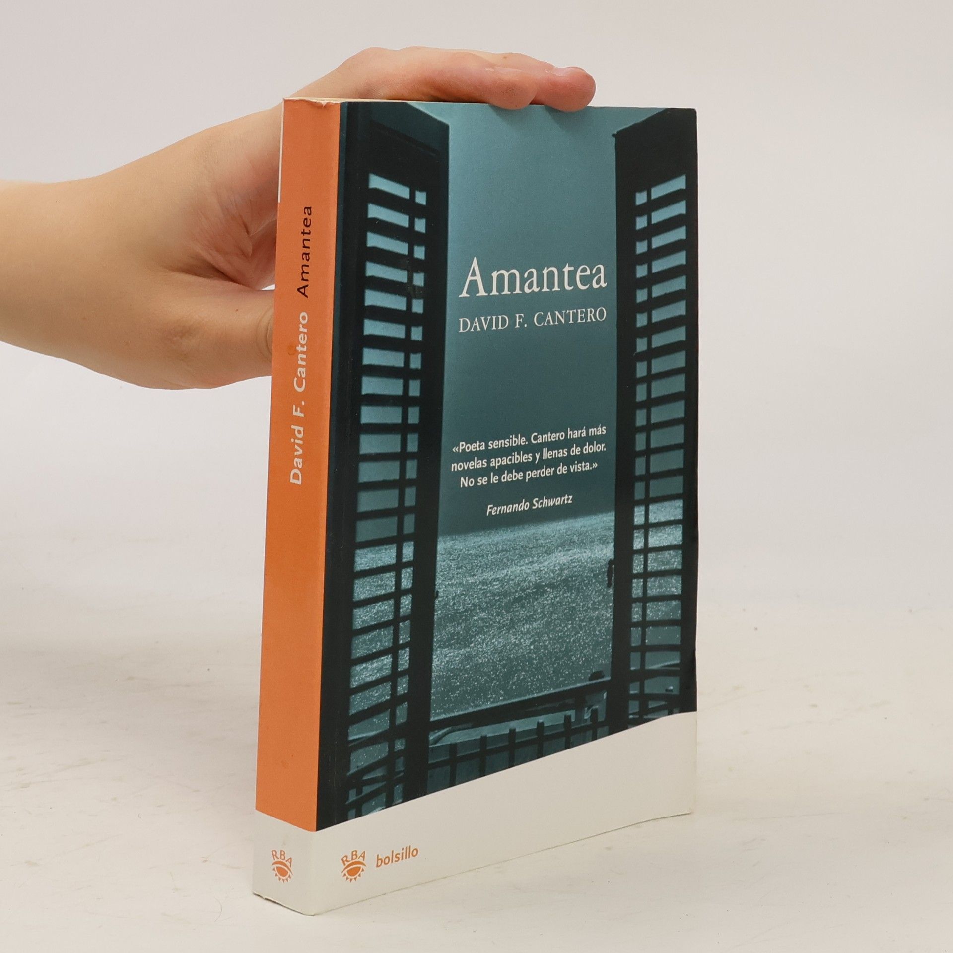 David F. Cantero bolsillo: Amantea