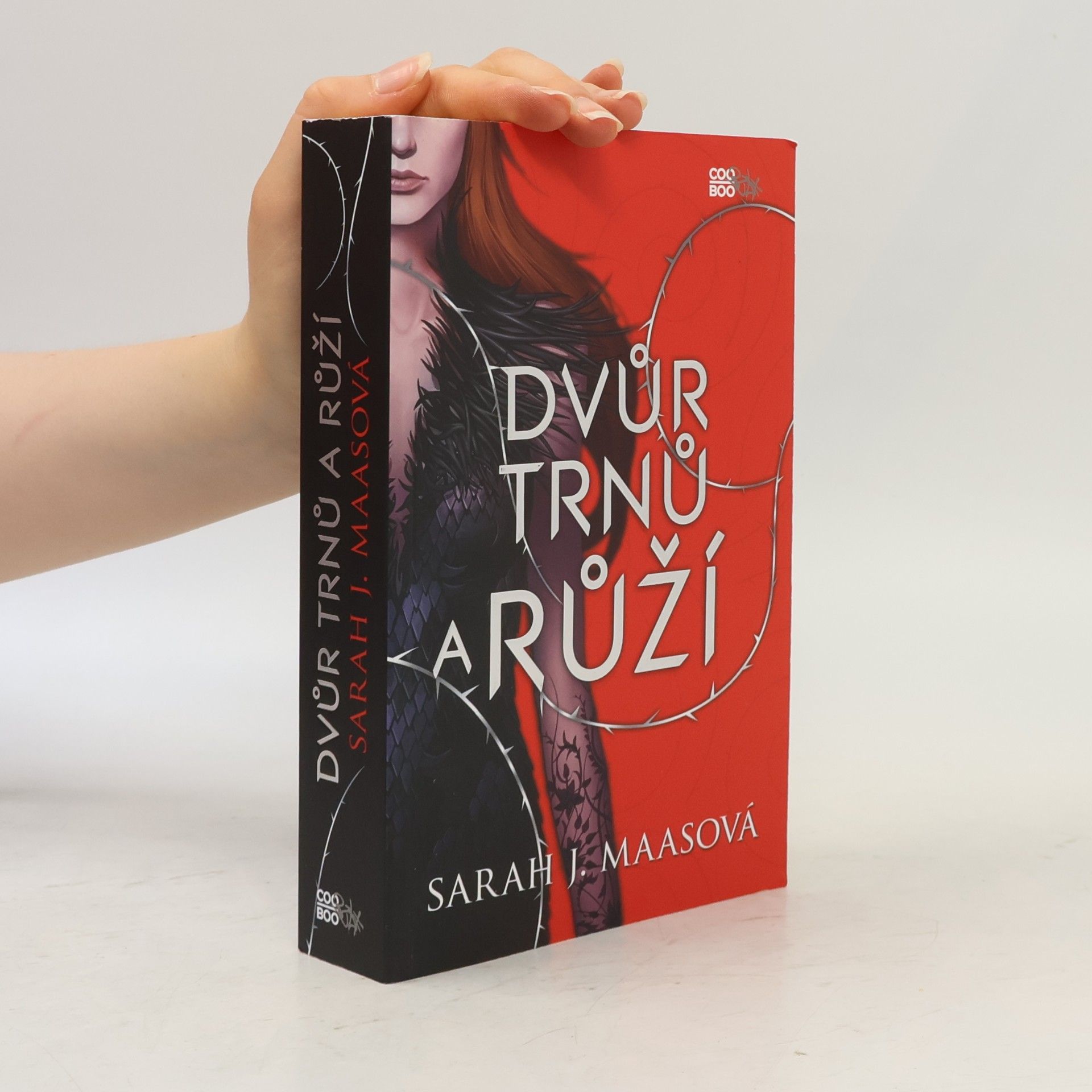Sarah J. Maas Dvůr trnů a růží