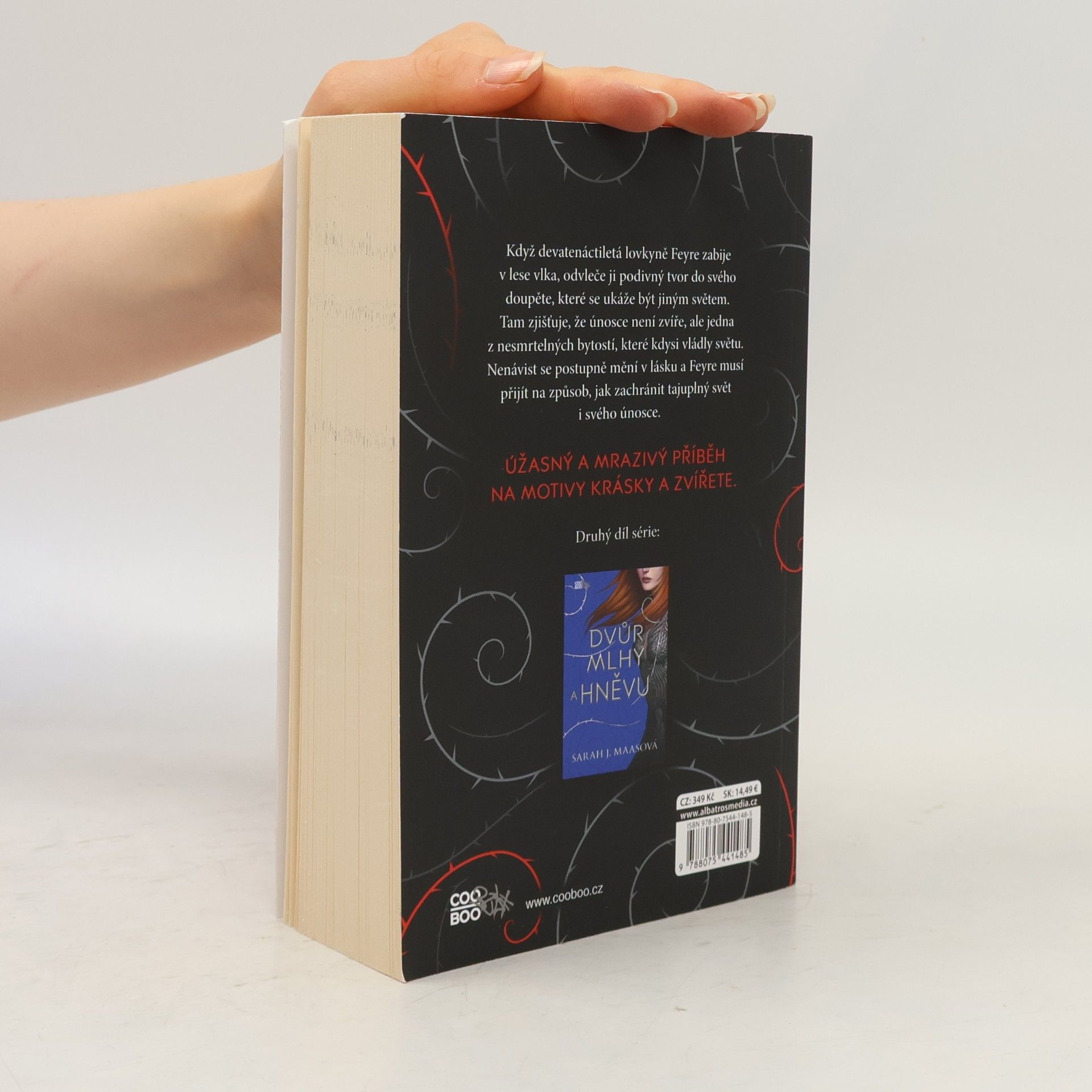 Sarah J. Maas Dvůr trnů a růží