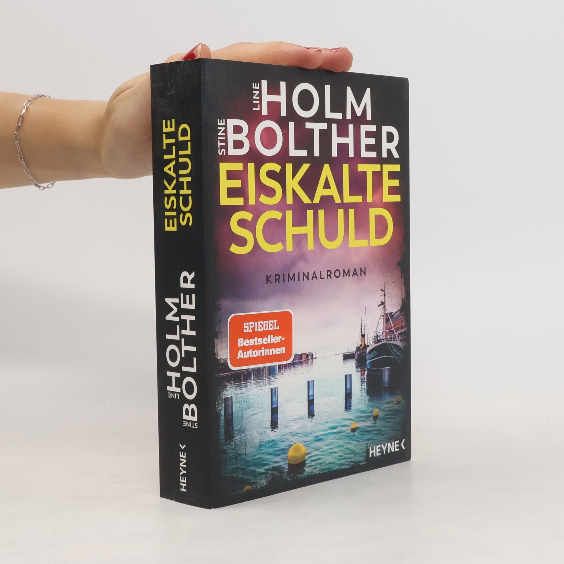 Stine Bolther Eiskalte Schuld