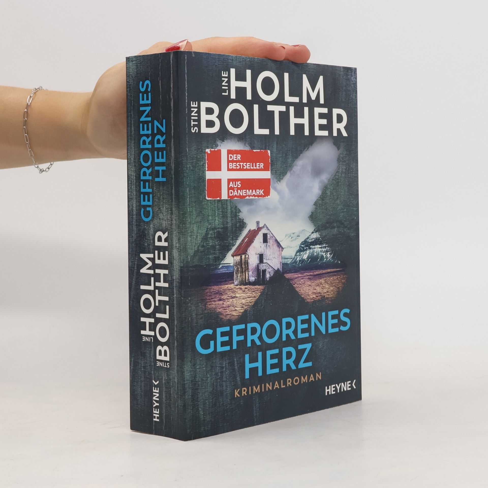Stine Bolther Gefrorenes herz