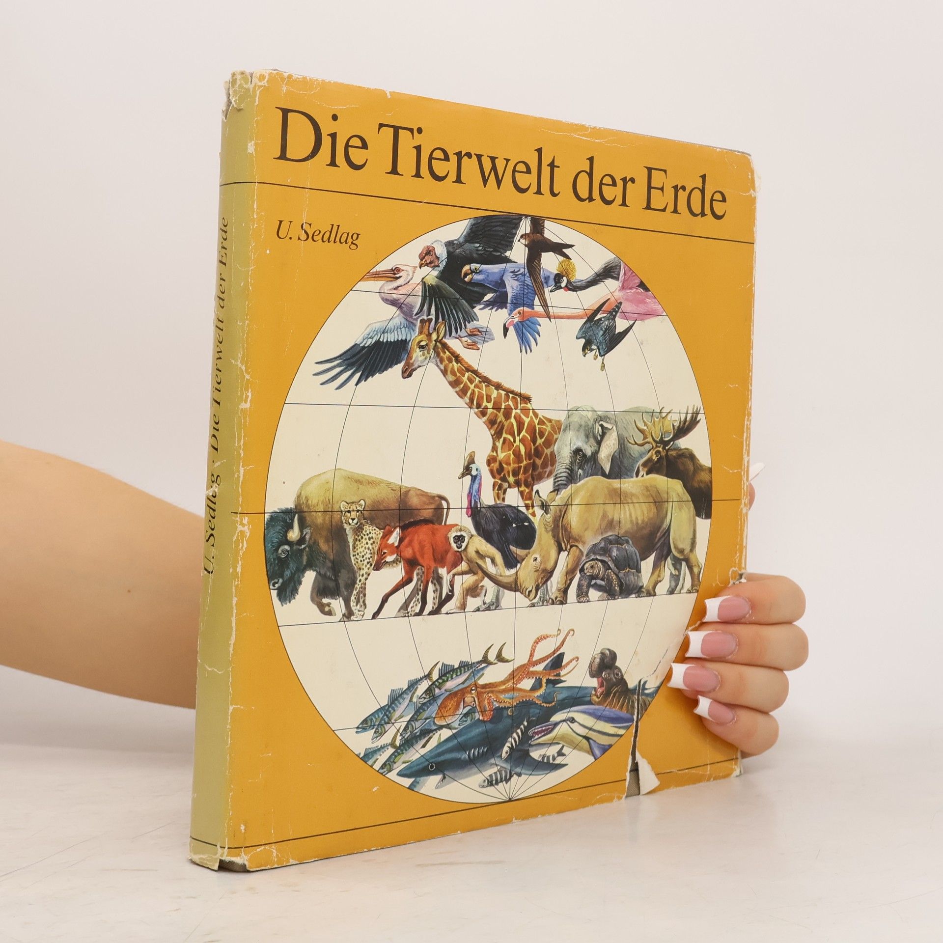 Ulrich Sedlag Die Tierwelt der Erde