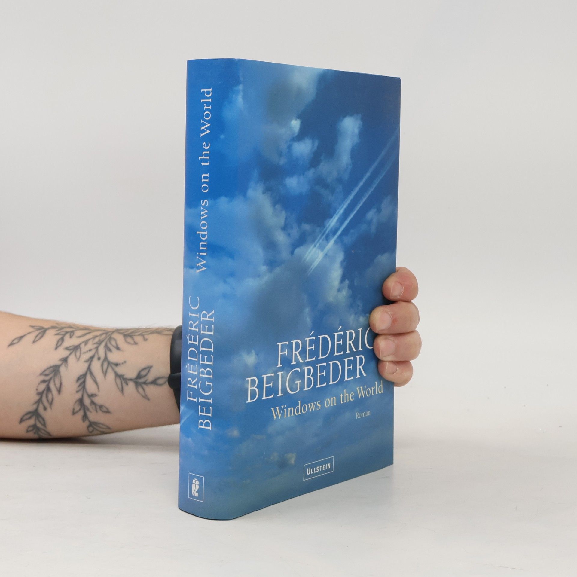 Frédéric Beigbeder Windows on the World