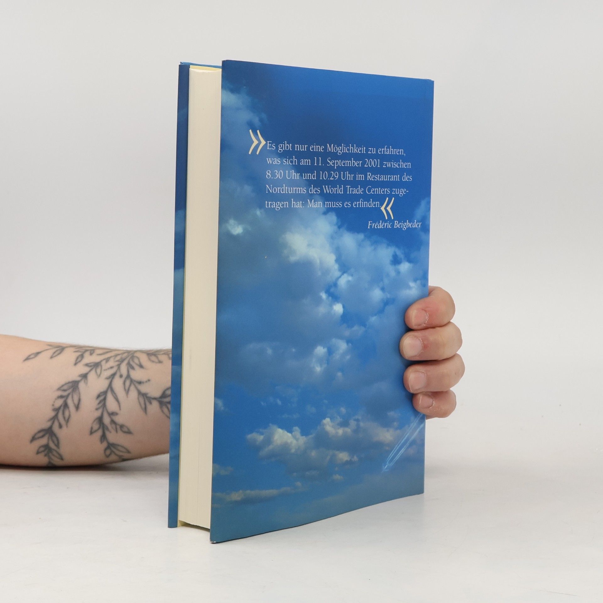 Frédéric Beigbeder Windows on the World