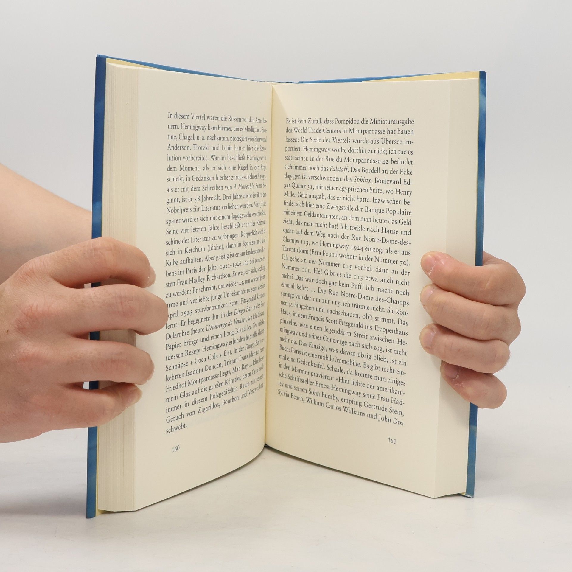 Frédéric Beigbeder Windows on the World