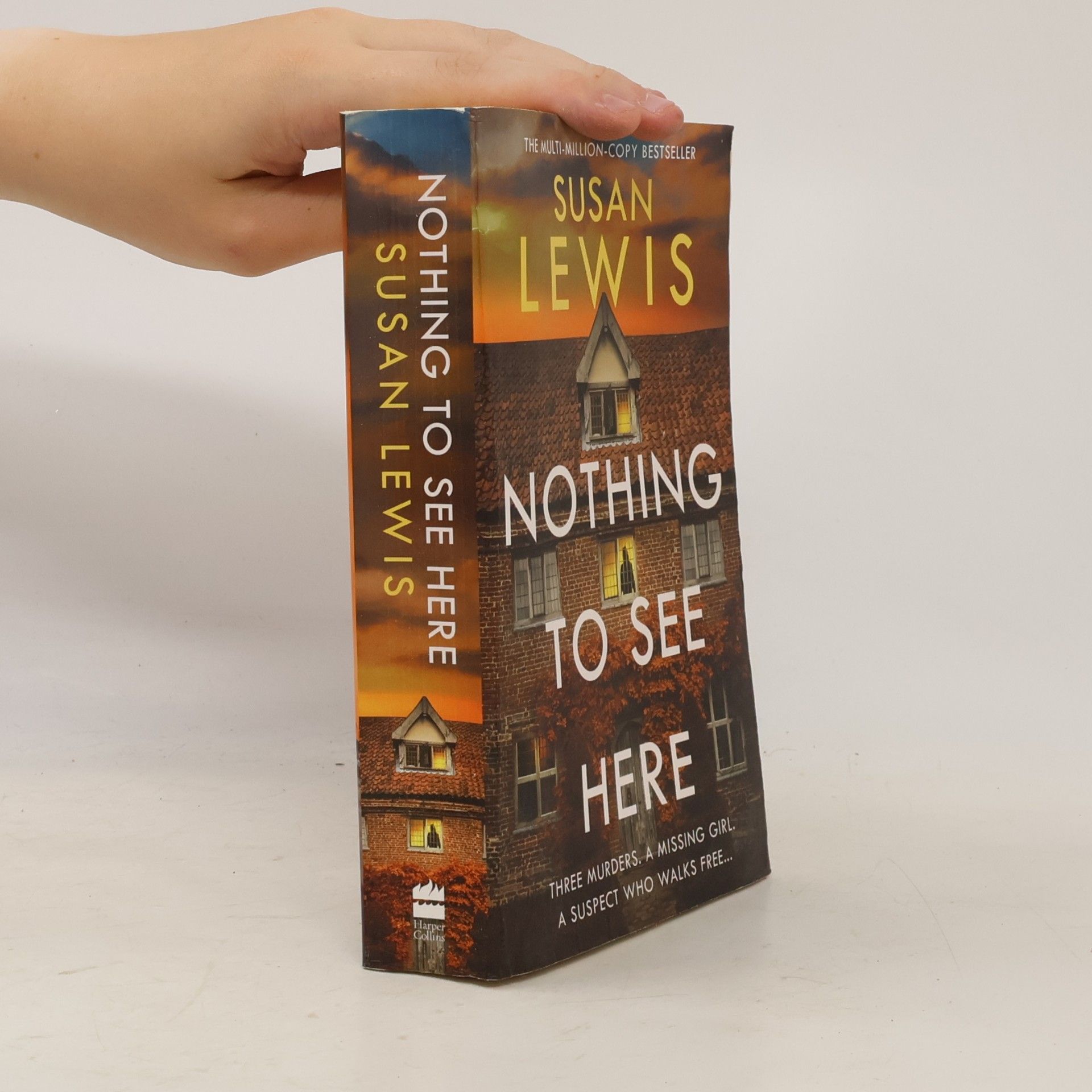 Susan Lewis Nothing to See Here