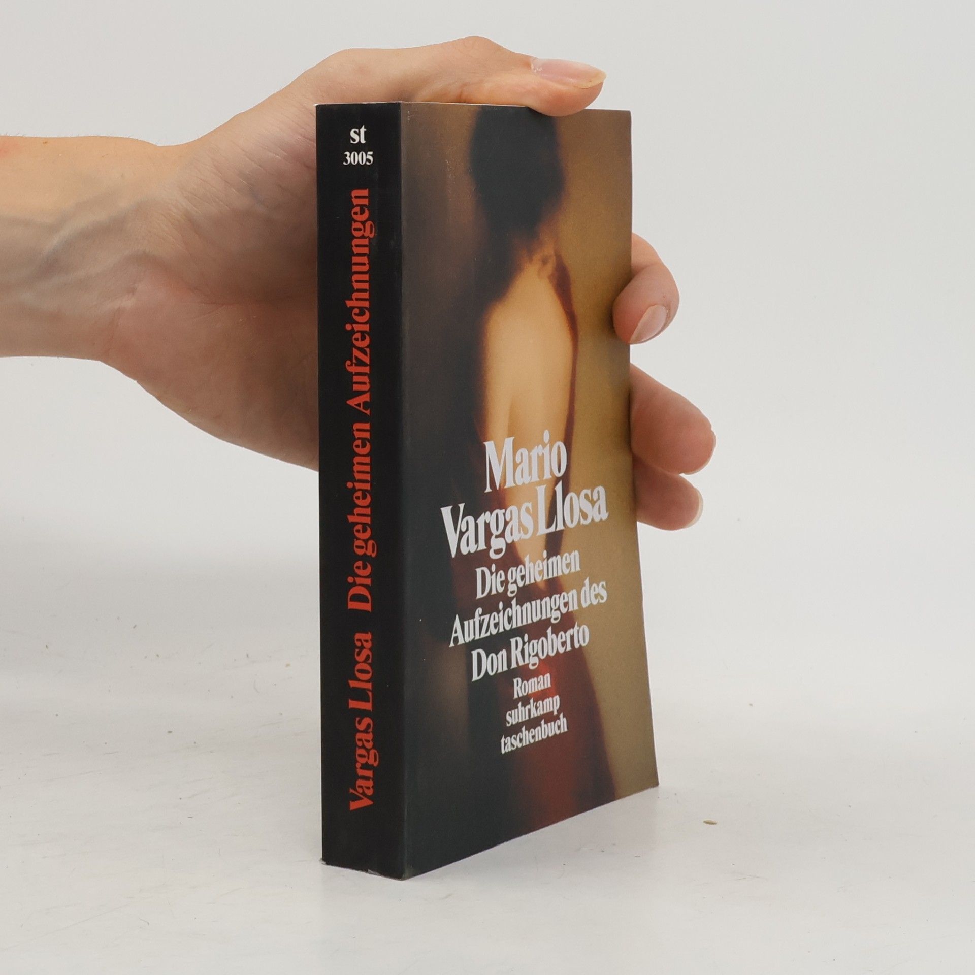 Mario Vargas Llosa Die geheimen Aufzeichnungen des Don Rigoberto