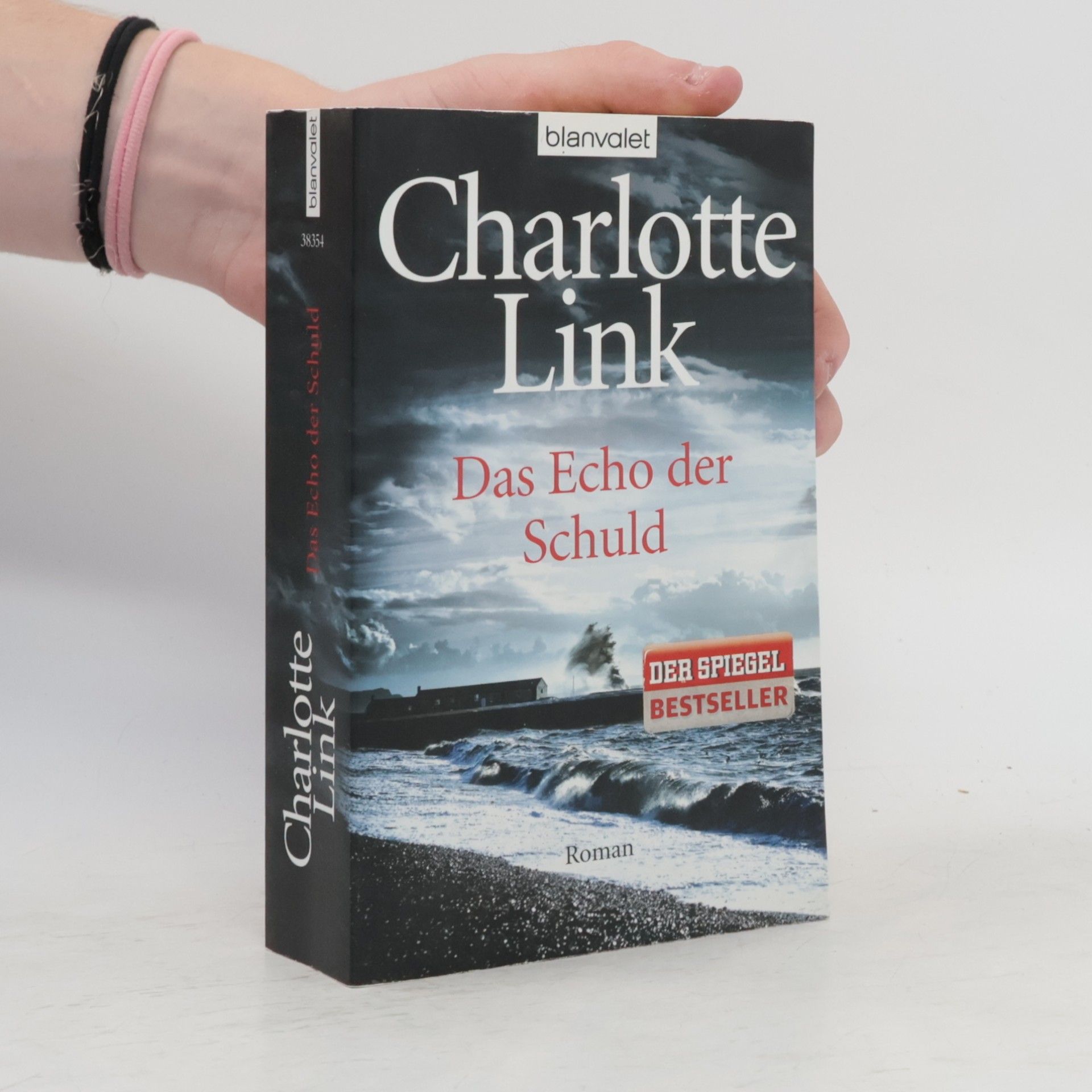 Charlotte Link Das Echo der Schuld