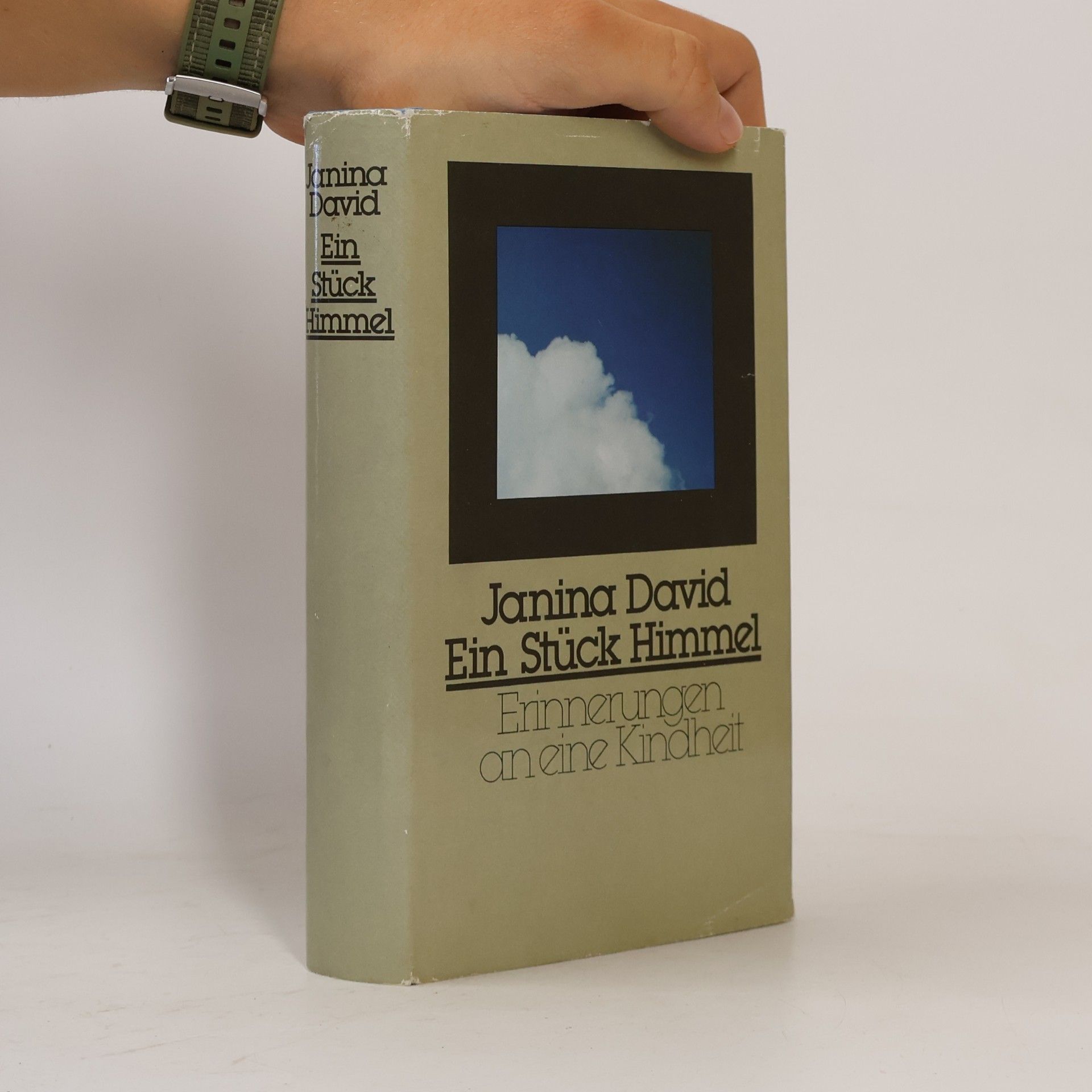 Janina David Ein Stück Himmel