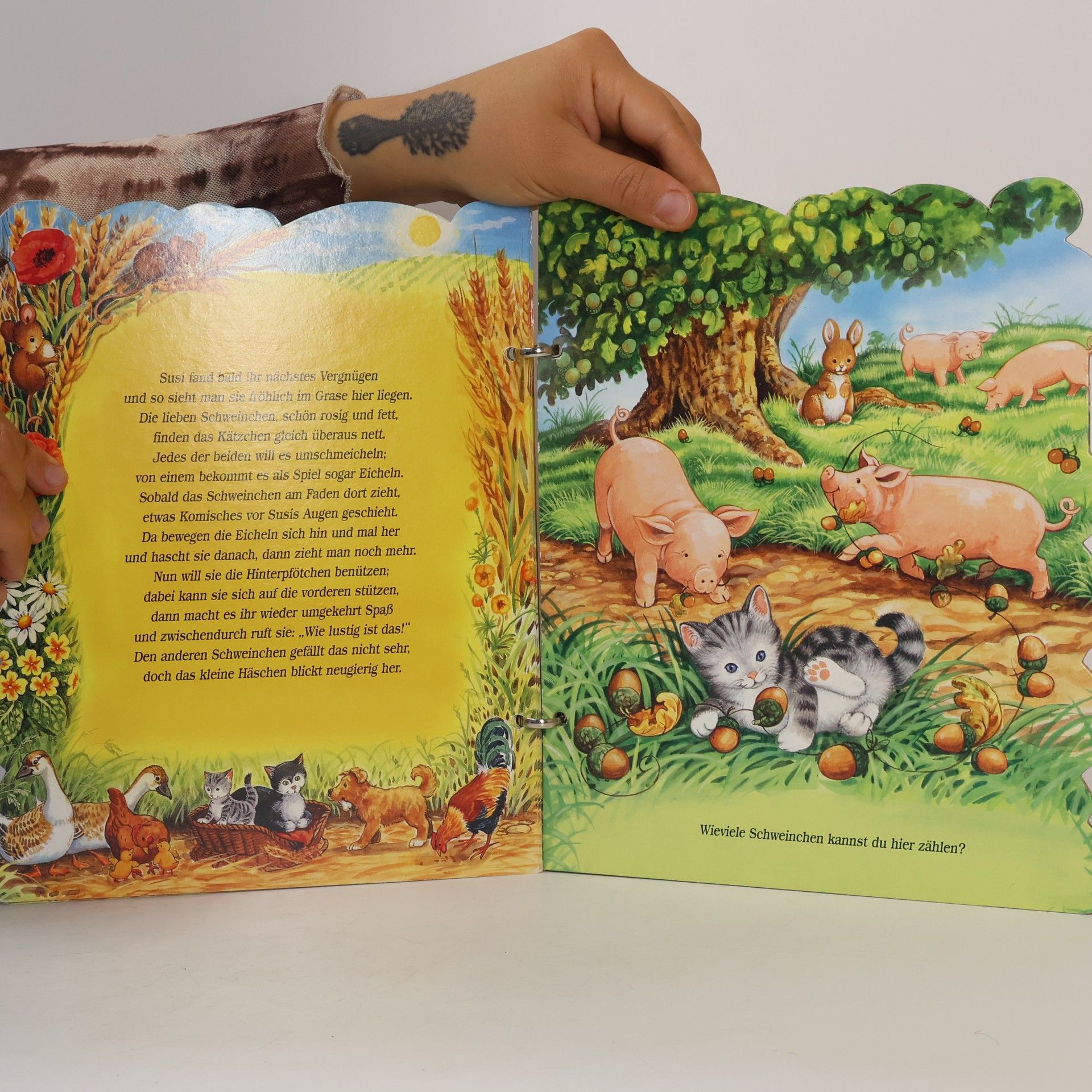 Linda Birkinshaw Mein liebstes Katzenbuch