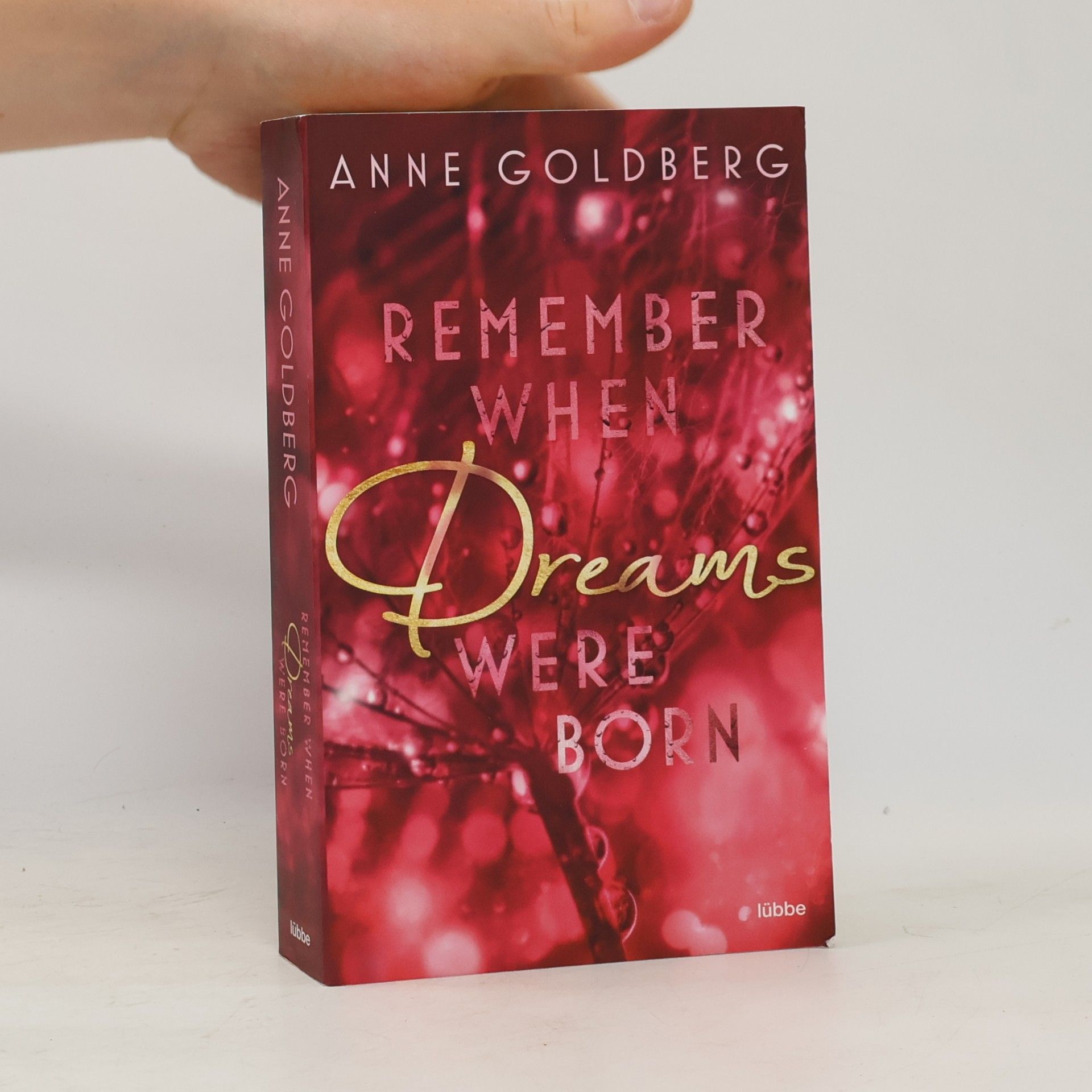 Anne Goldberg Remember when Dreams were born