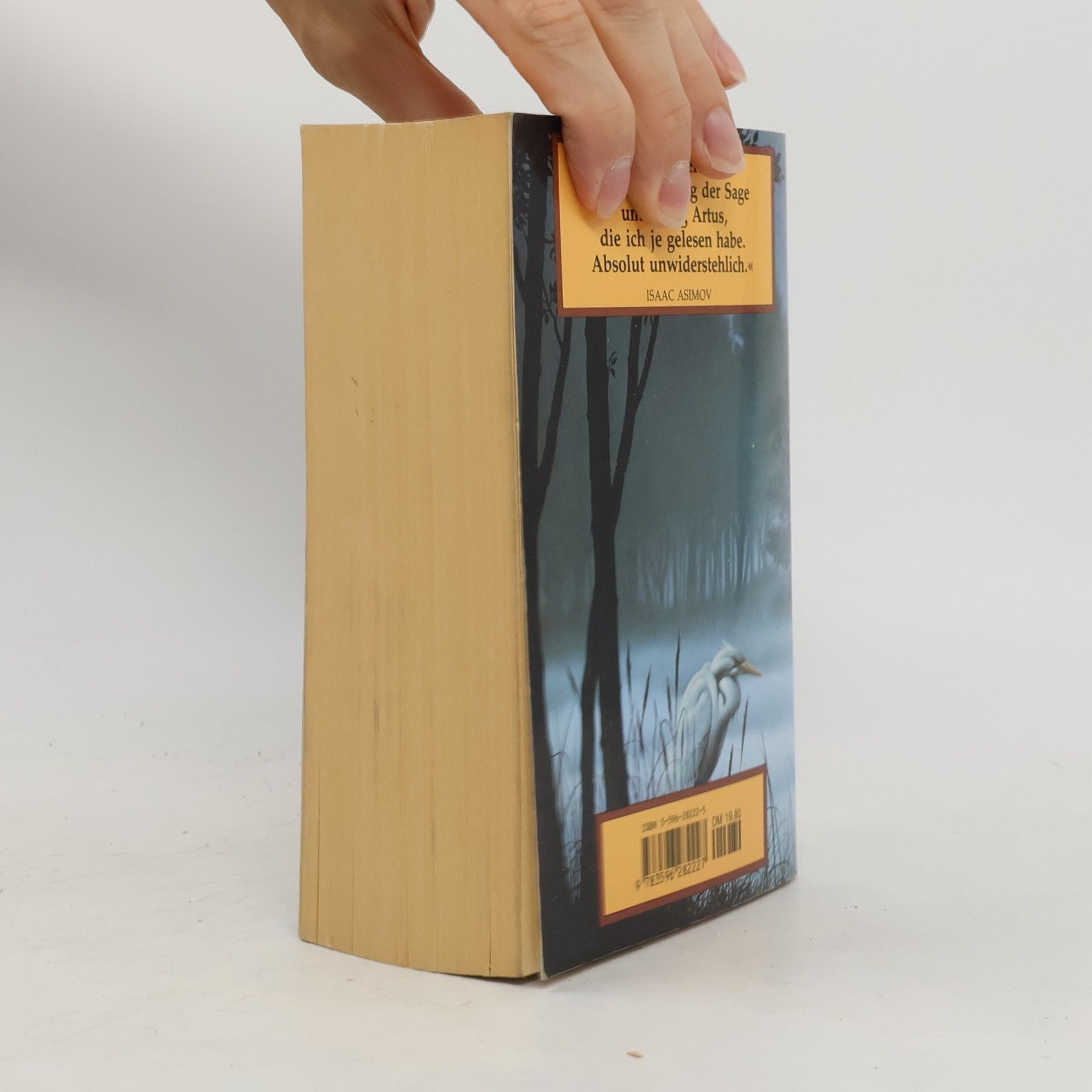 Marion Zimmer Bradley Die Nebel von Avalon