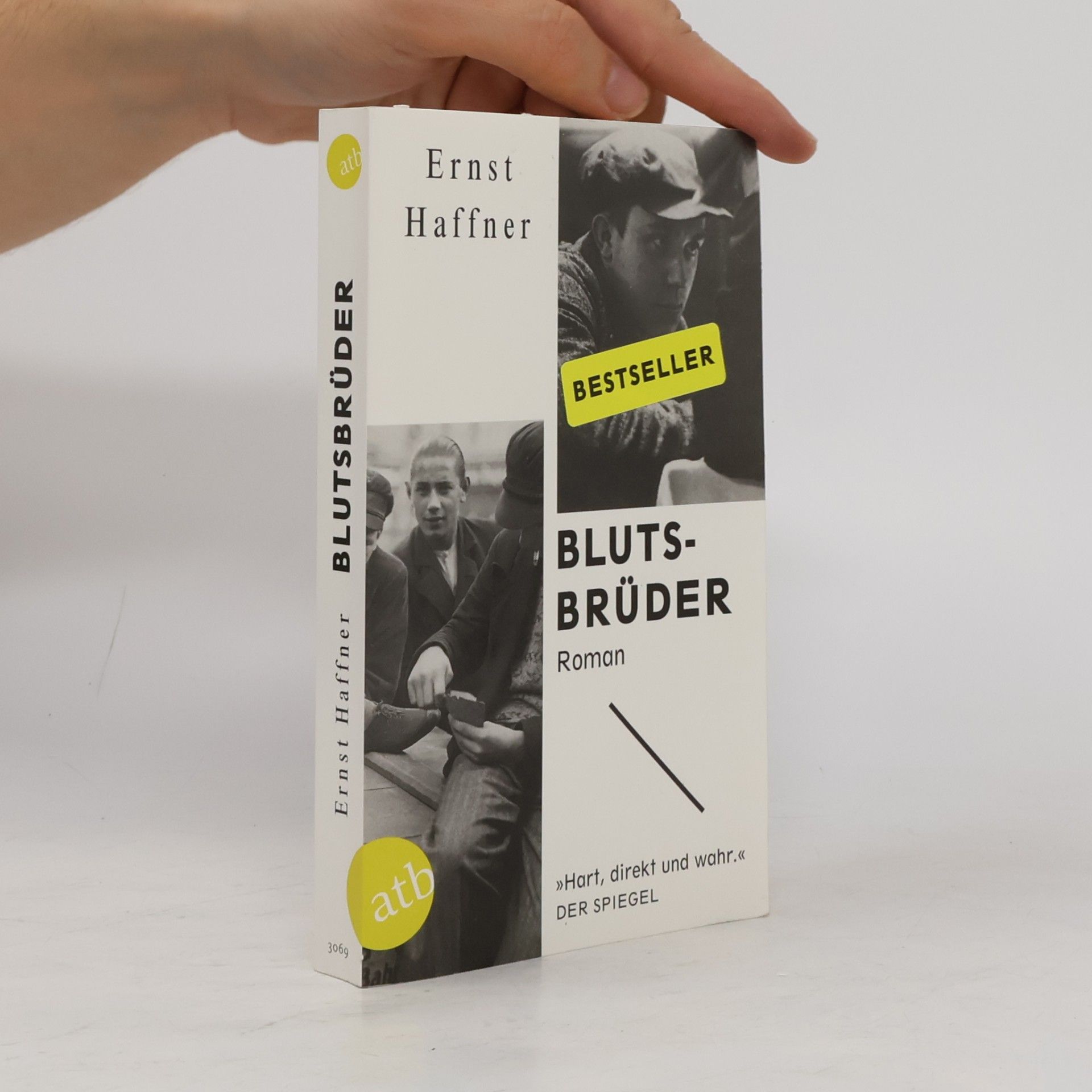 Ernst Haffner Blutsbrüder