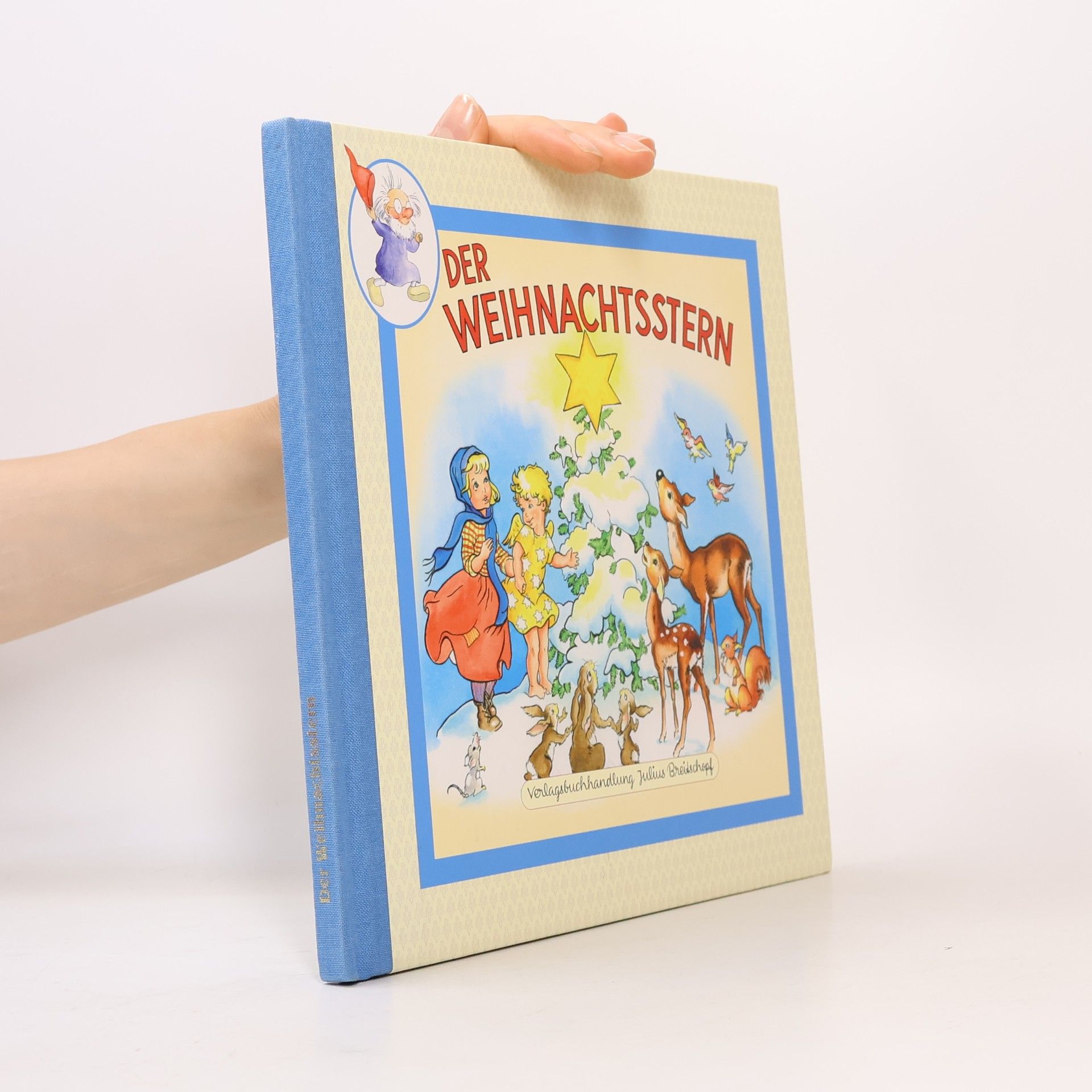 Autores varios Der Weihnachtsstern
