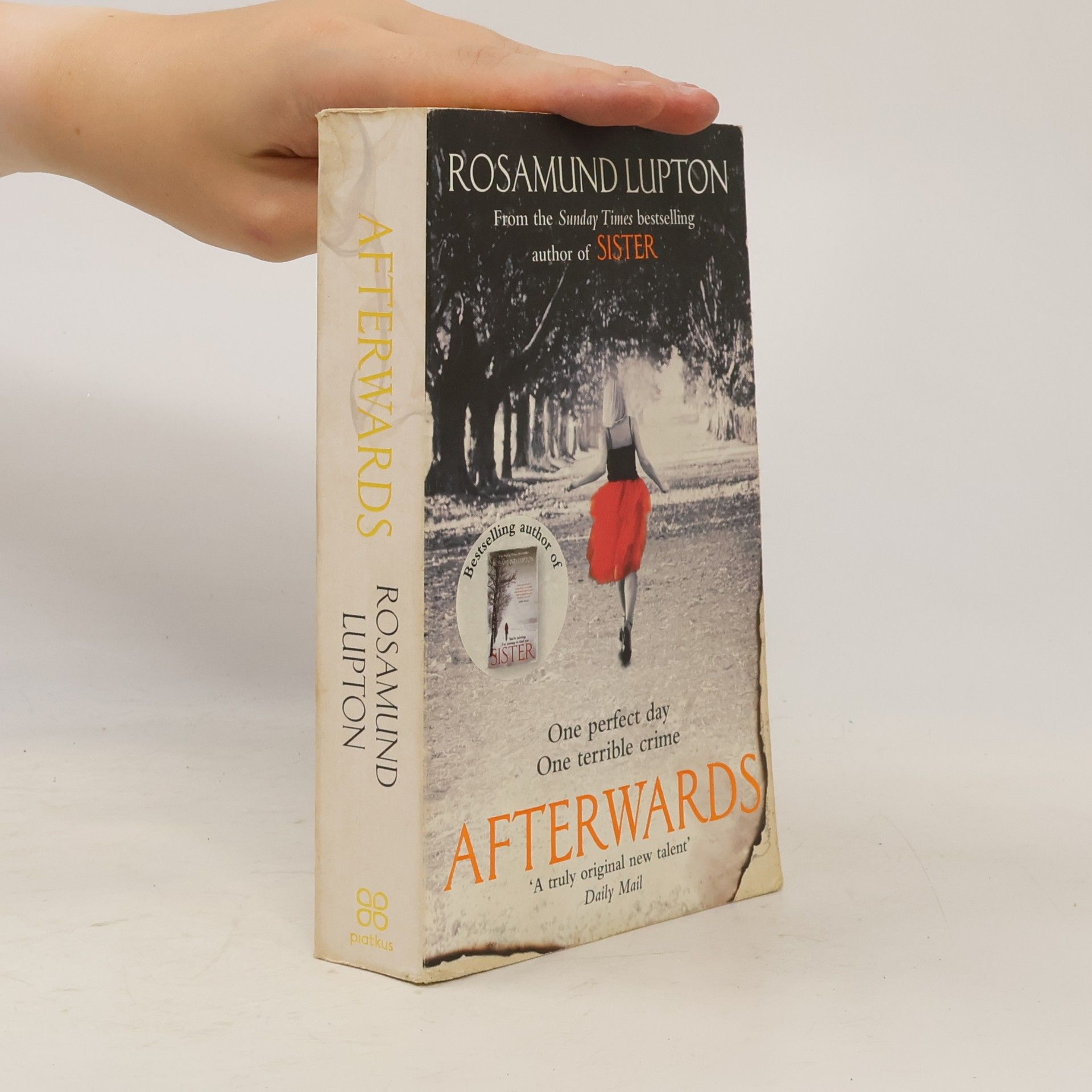Rosamund Lupton Afterwards