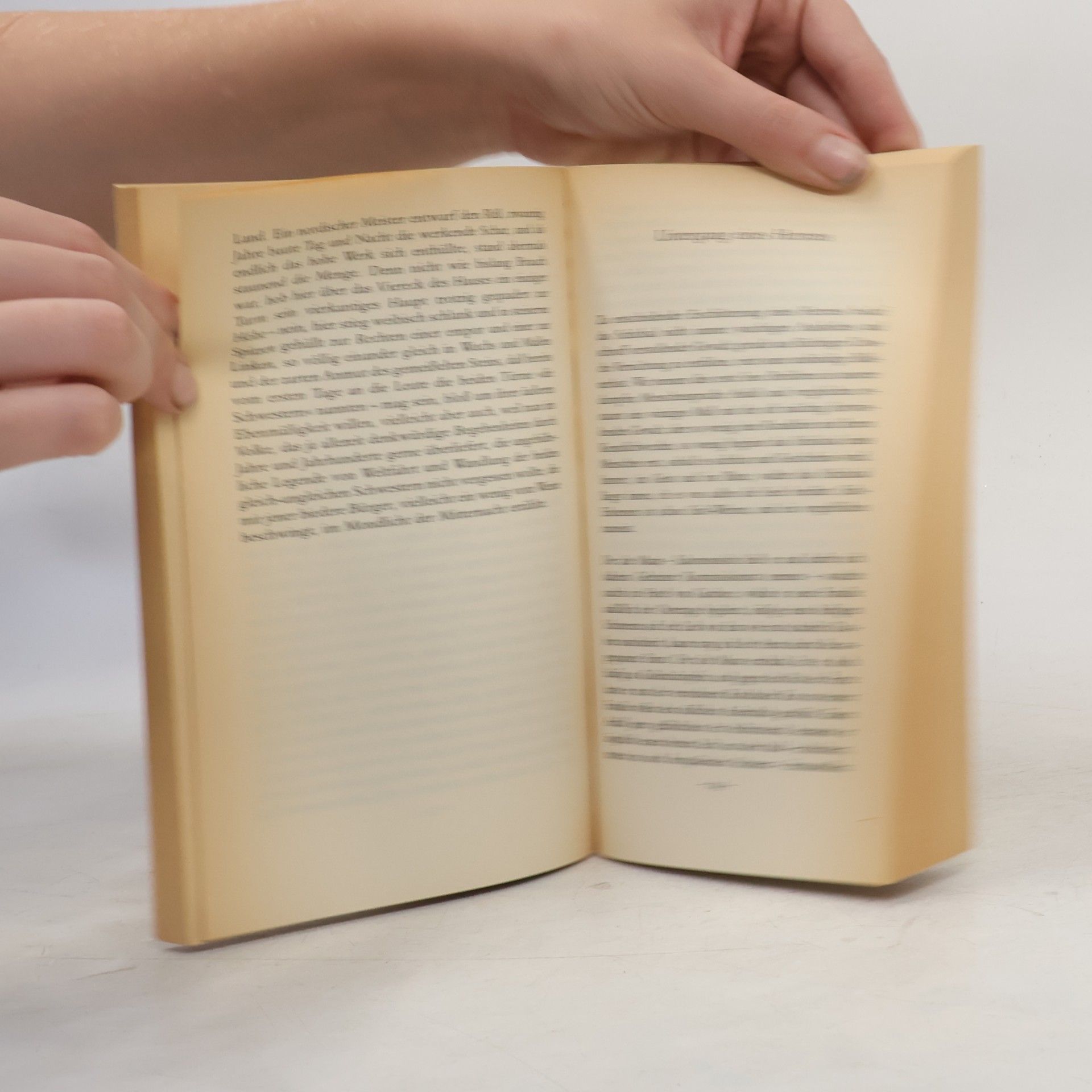 Stefan Zweig Verwirrung der Gefühle