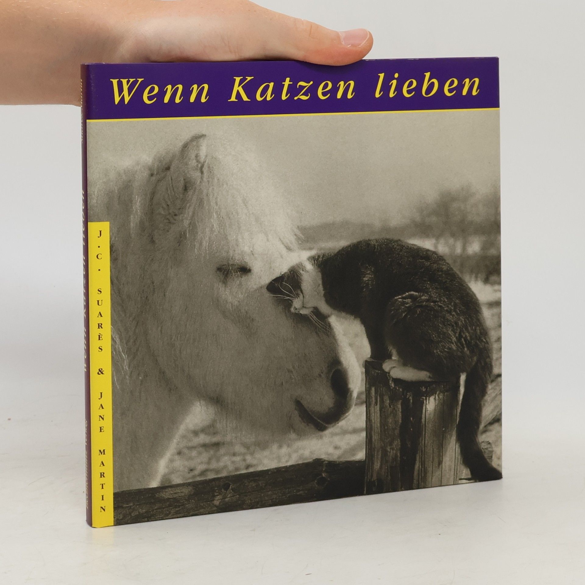 J. C. Suares Wenn Katzen lieben