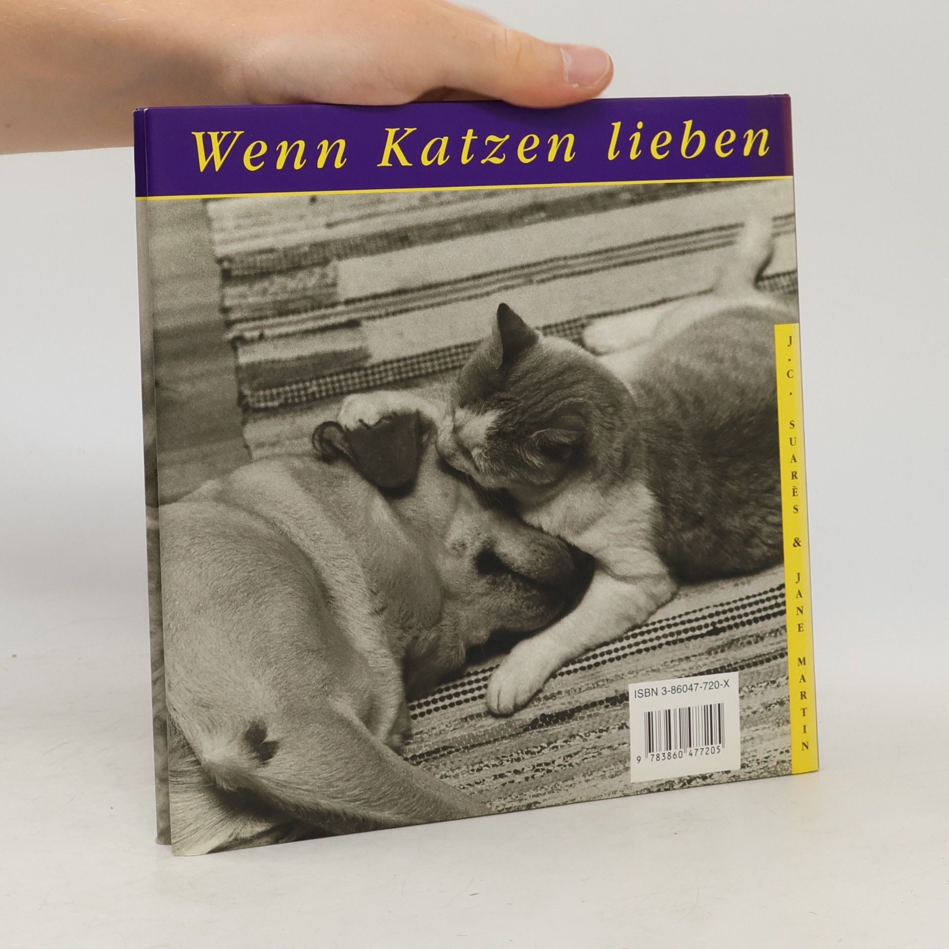 Jane Martin Wenn Katzen lieben