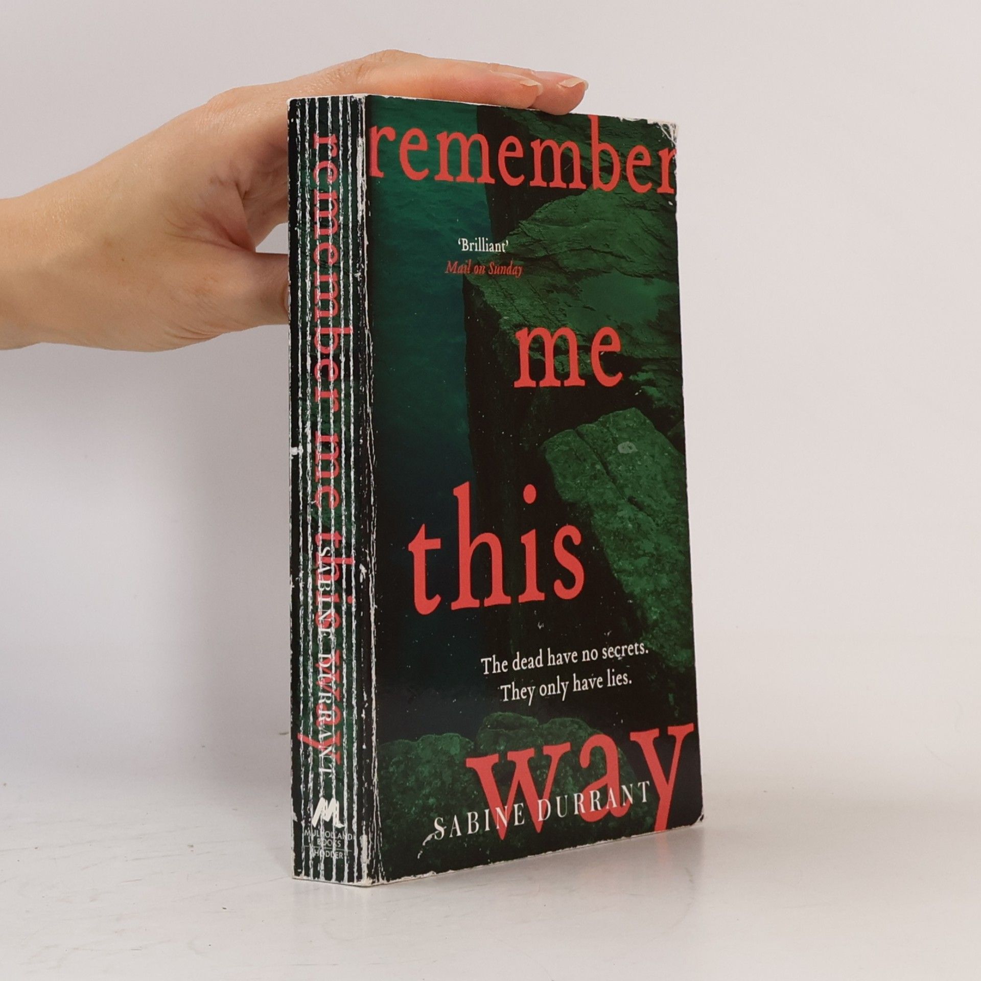 Sabine Durrant Remember Me This Way