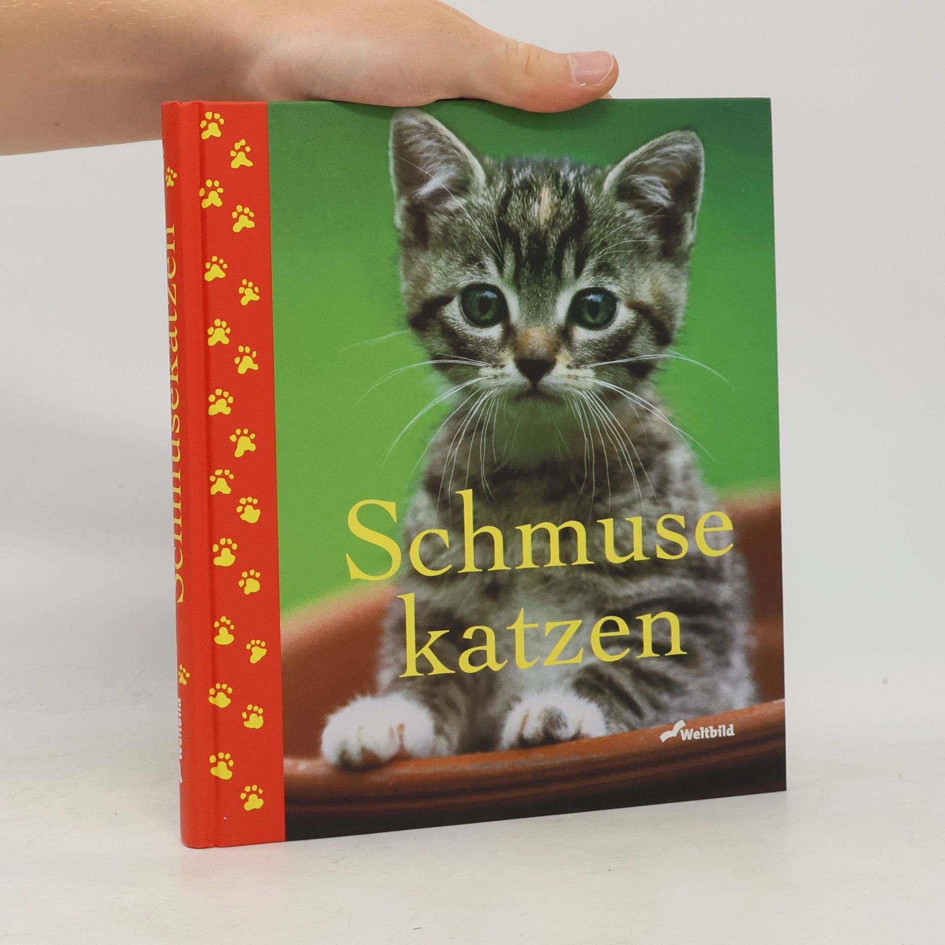 Monika Auberger Schmuse katzen