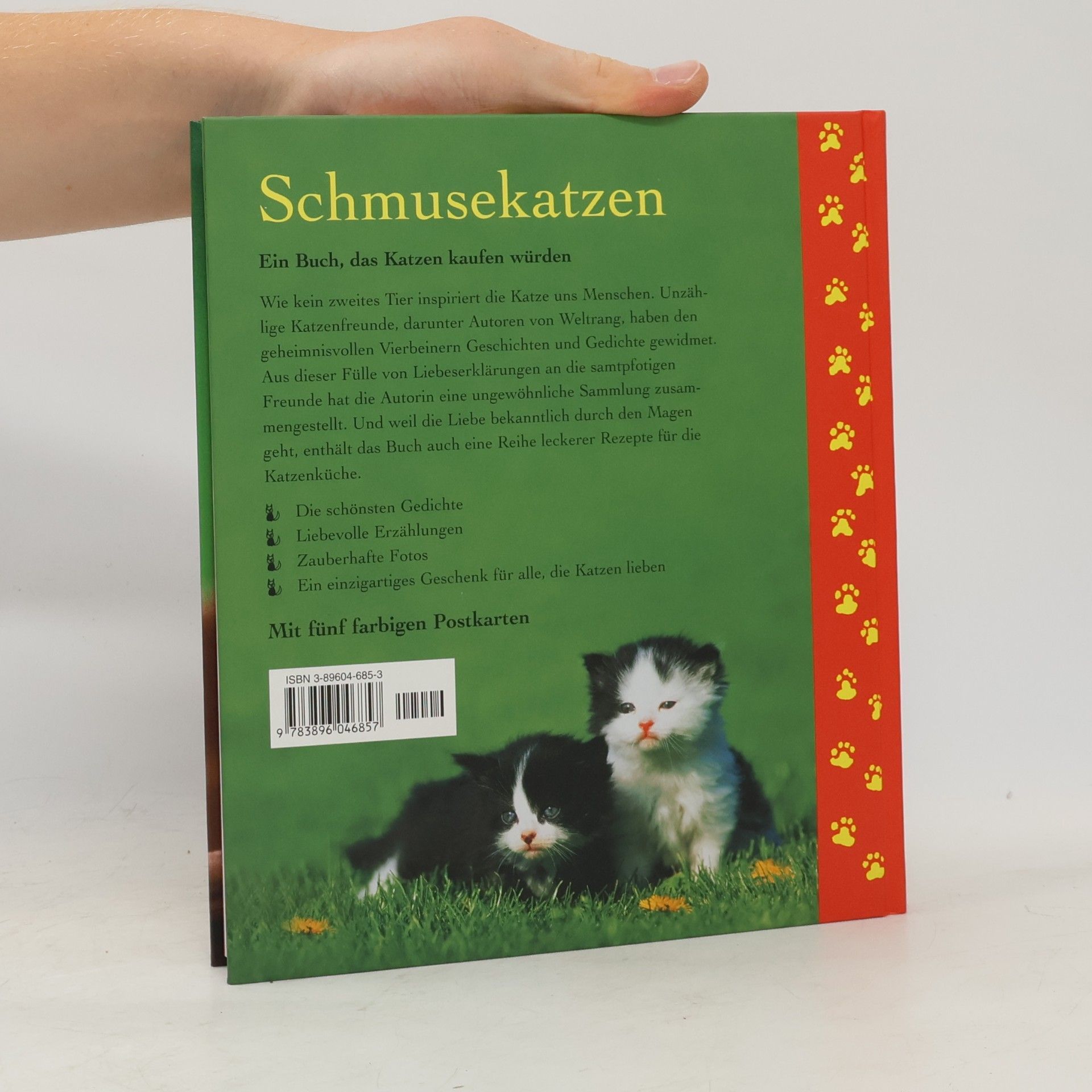 Monika Auberger Schmuse katzen