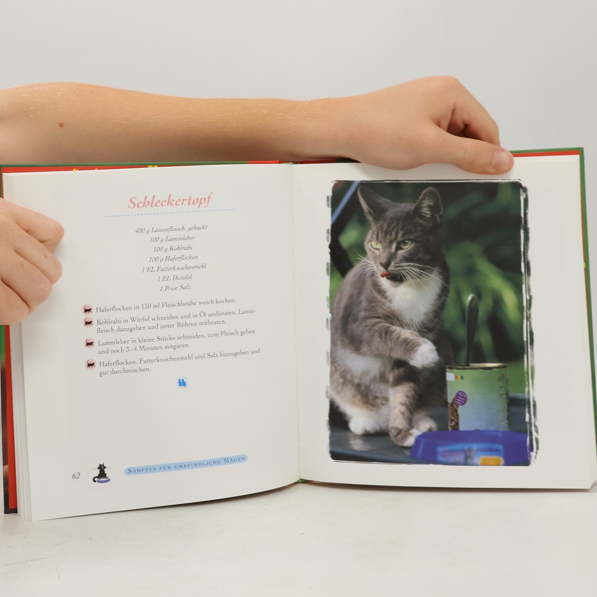 Monika Auberger Schmuse katzen