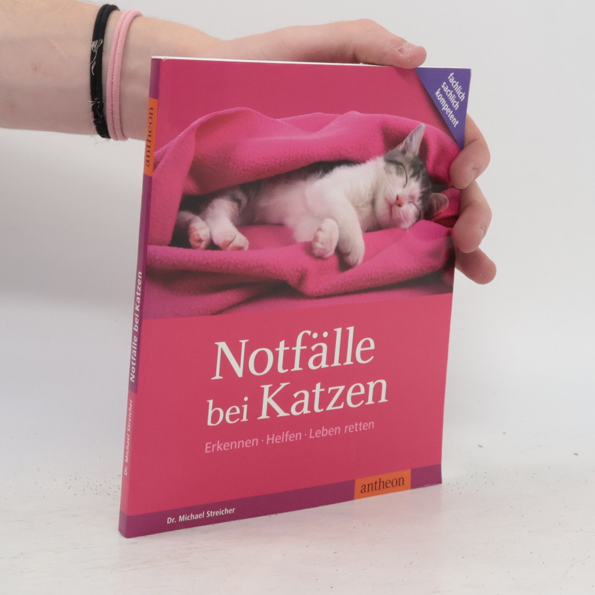 Notfälle bei Katzen