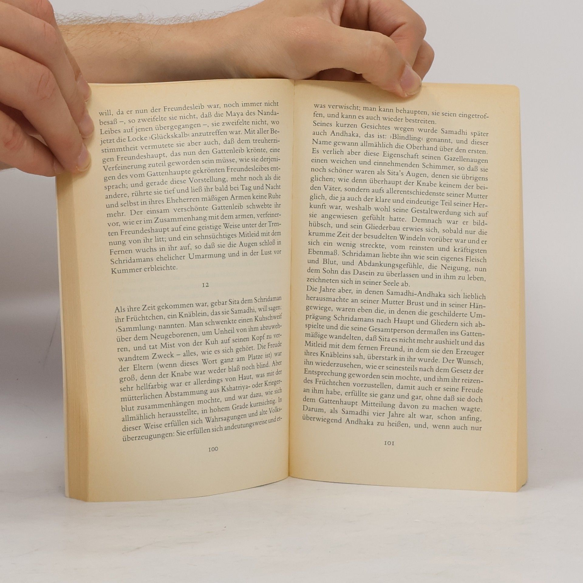 Thomas Mann Die Betrogene und andere Erzählungen
