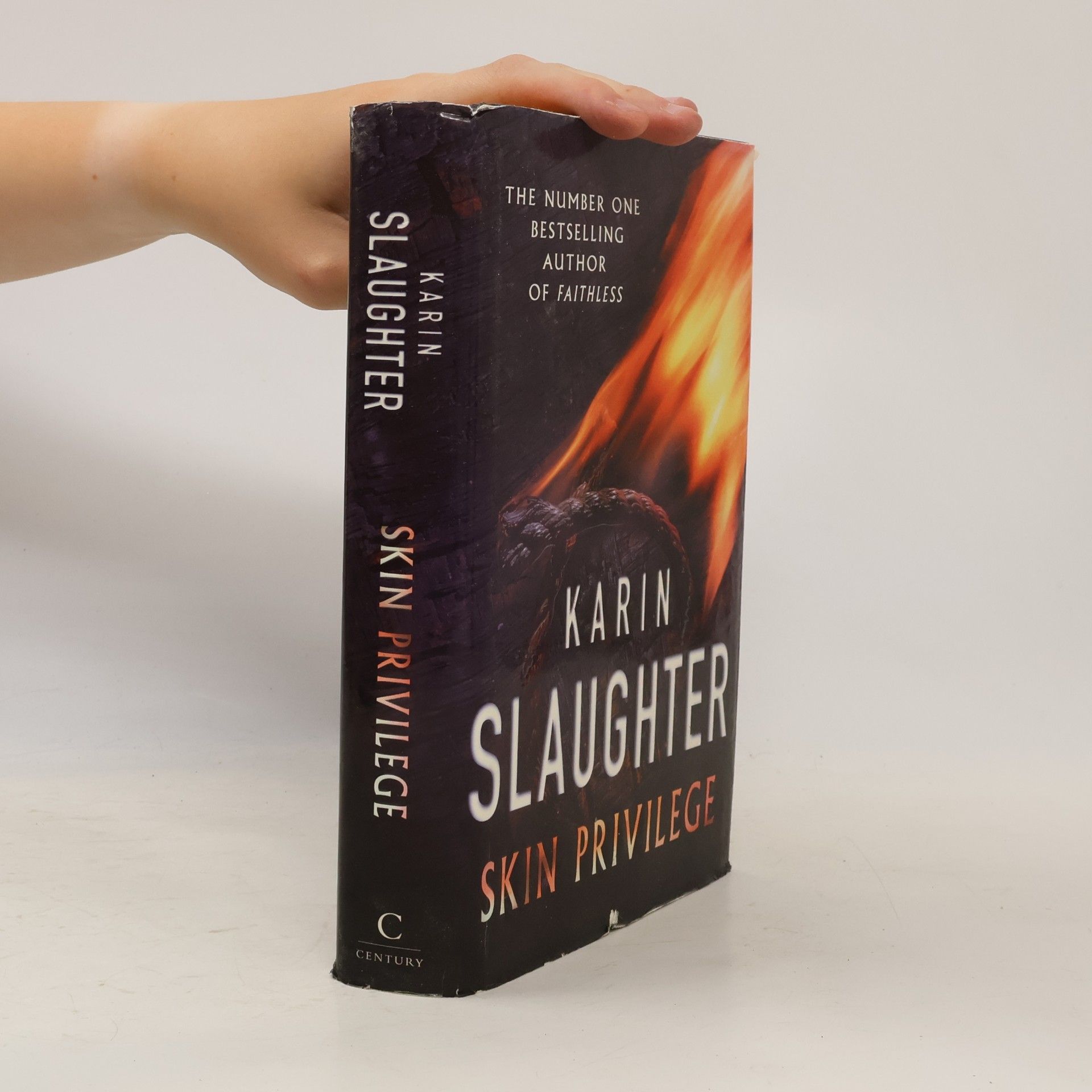 Karin Slaughter Skin Privilege