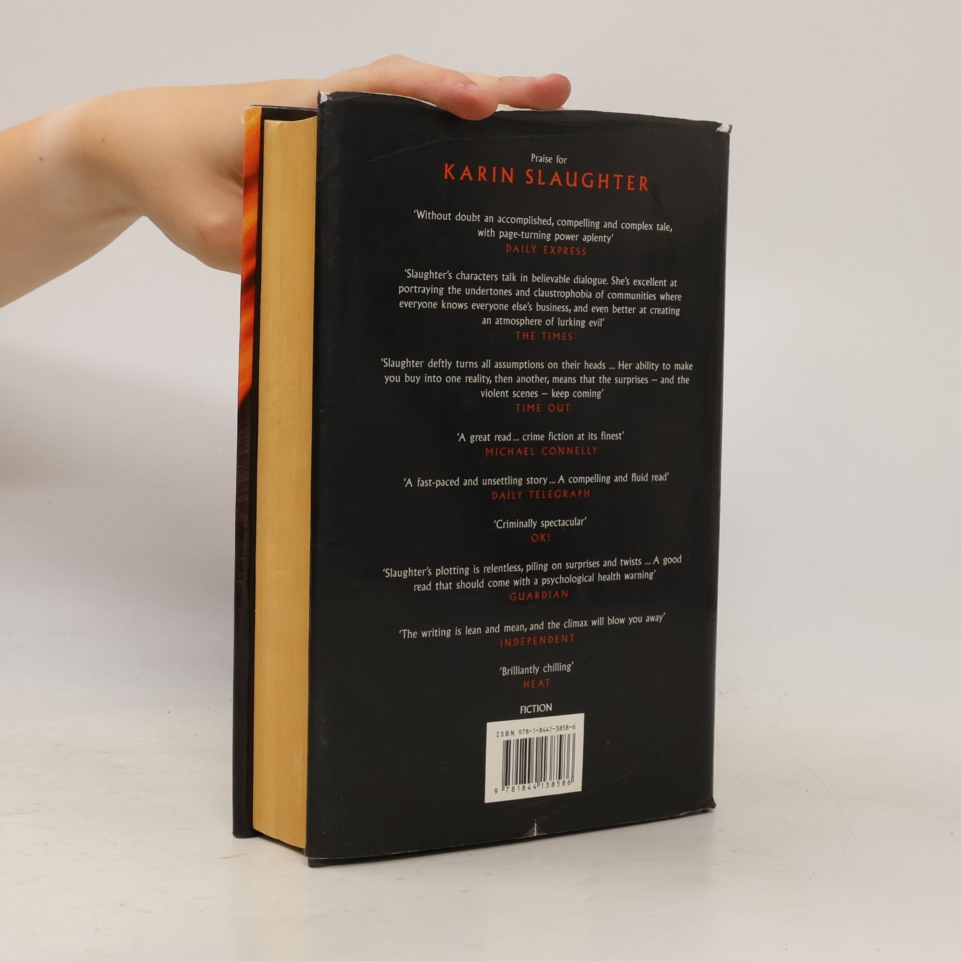 Karin Slaughter Skin Privilege